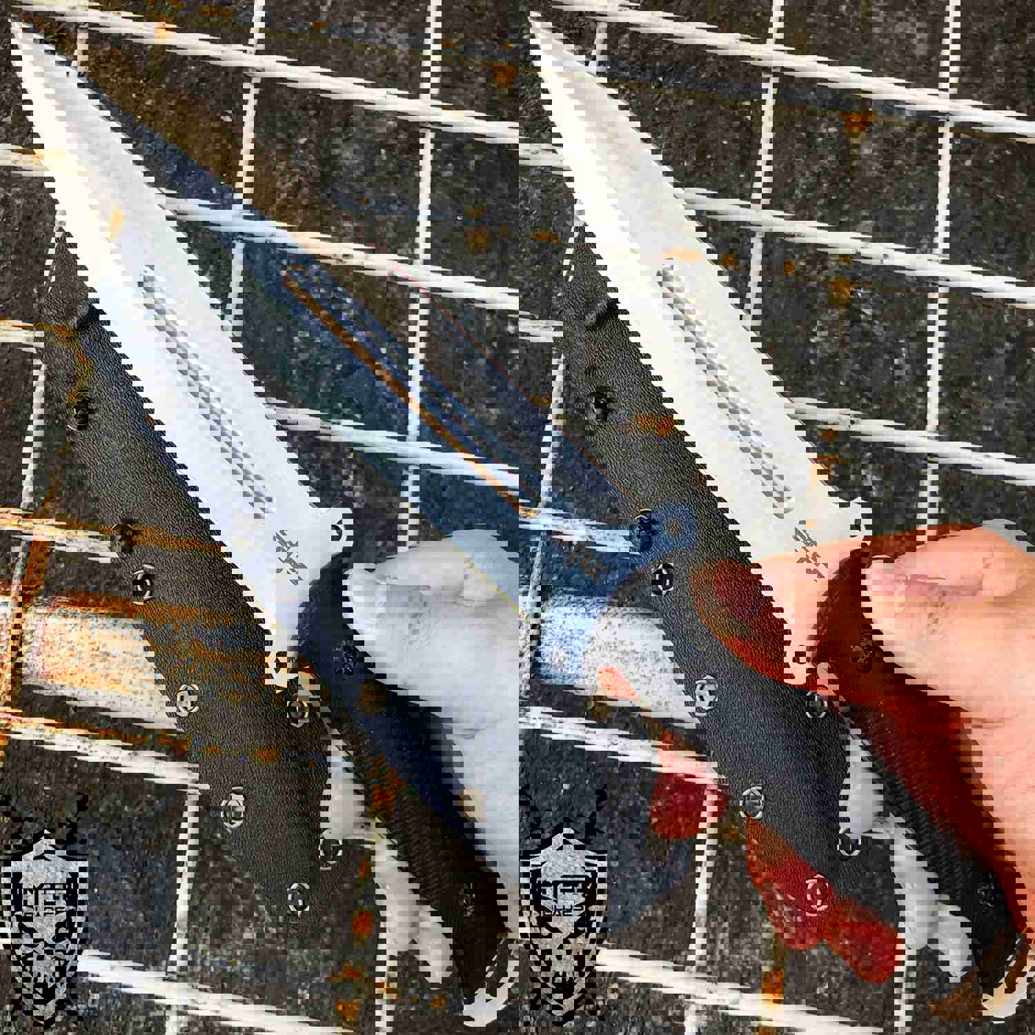 S-TECH 12 FULL TANG COMBAT KNIFE - Tactical Outdoor Knife with Kydex Sheath