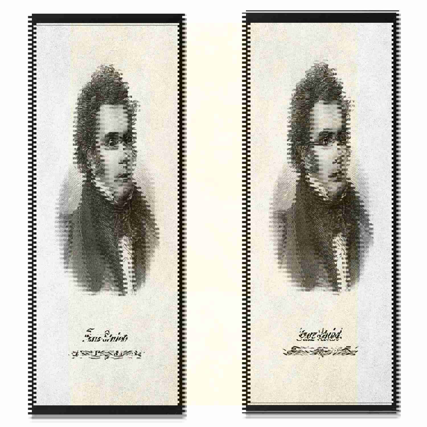 Schubert Musician Canvas Print - Music Themed Wall Art for Home Décor