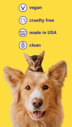 Petsmile Professional Pet Toothpaste for Cats & Dogs - VOHC Accepted Dental Care (2.5 Oz, London Broil)