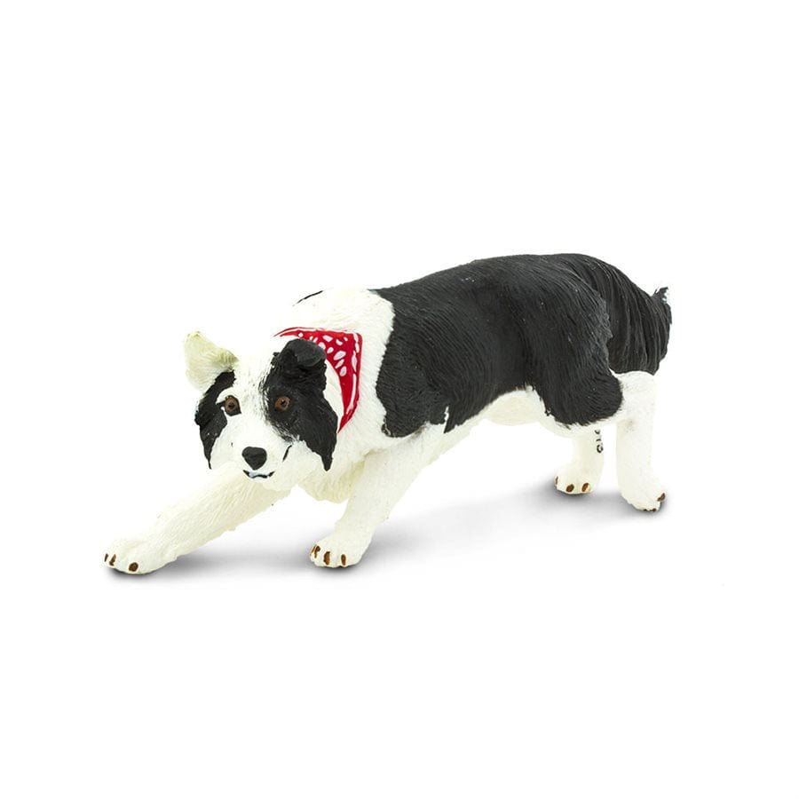 Border Collie Toy - Black and White with Red Accent