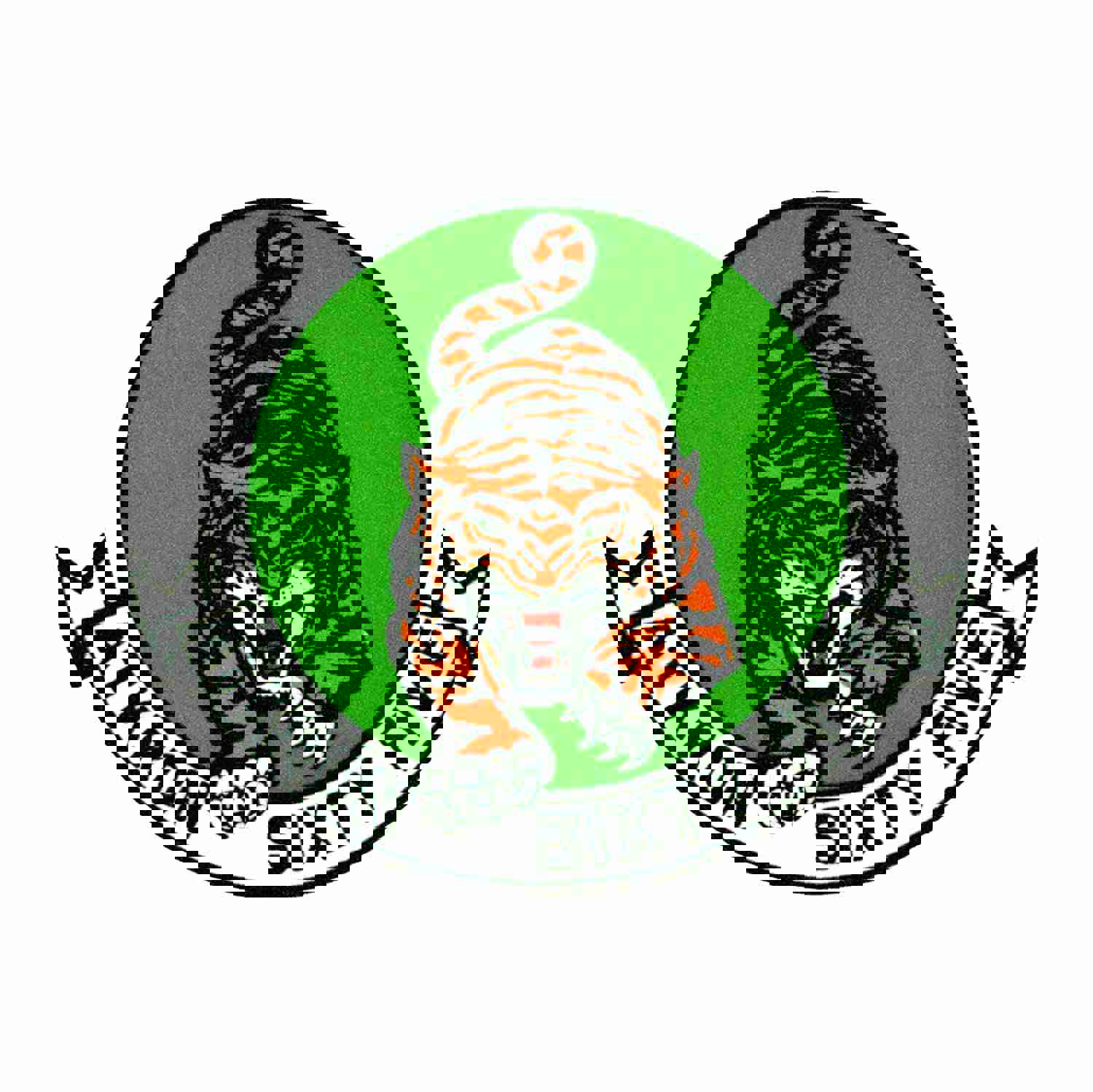 65th Attack Squadron - Vinyl Decal Patch - Multiple Sizes Available
