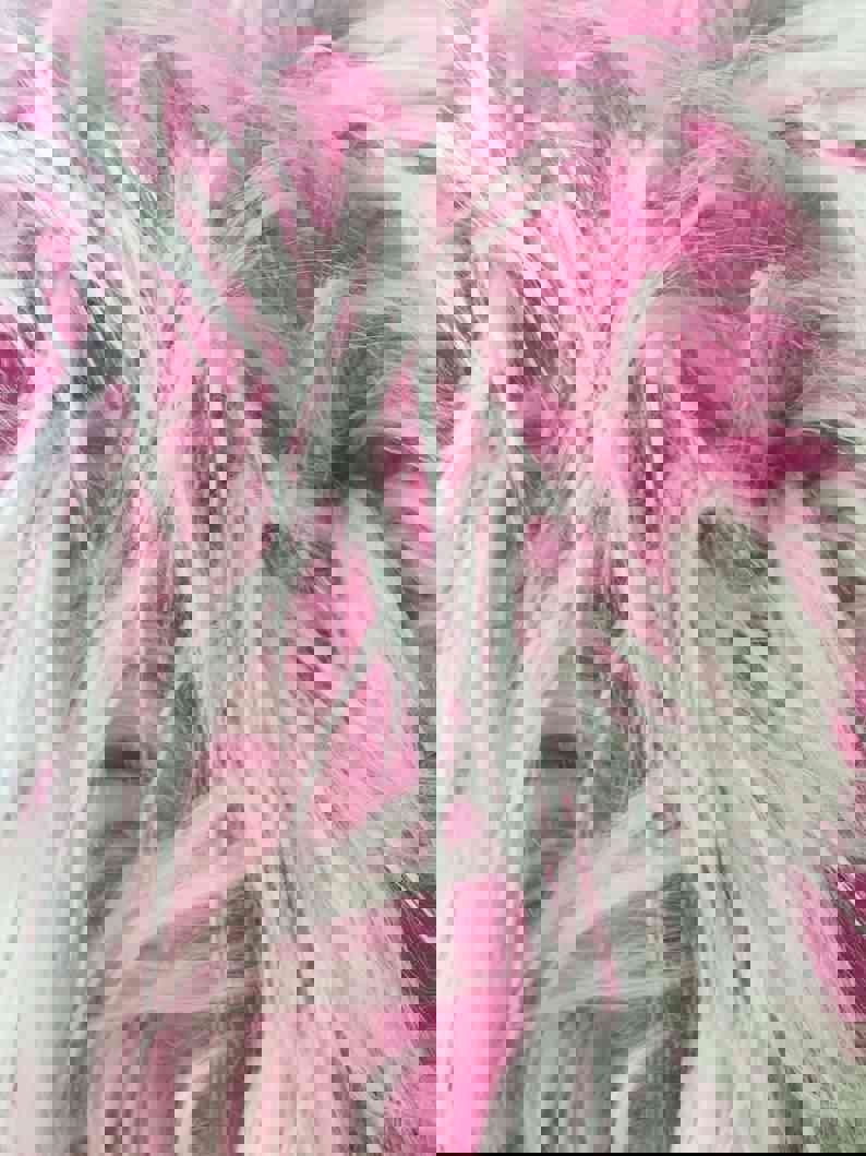 Double Tone Polar Bear Shaggy Faux Fur Fabric for Blankets and Clothing