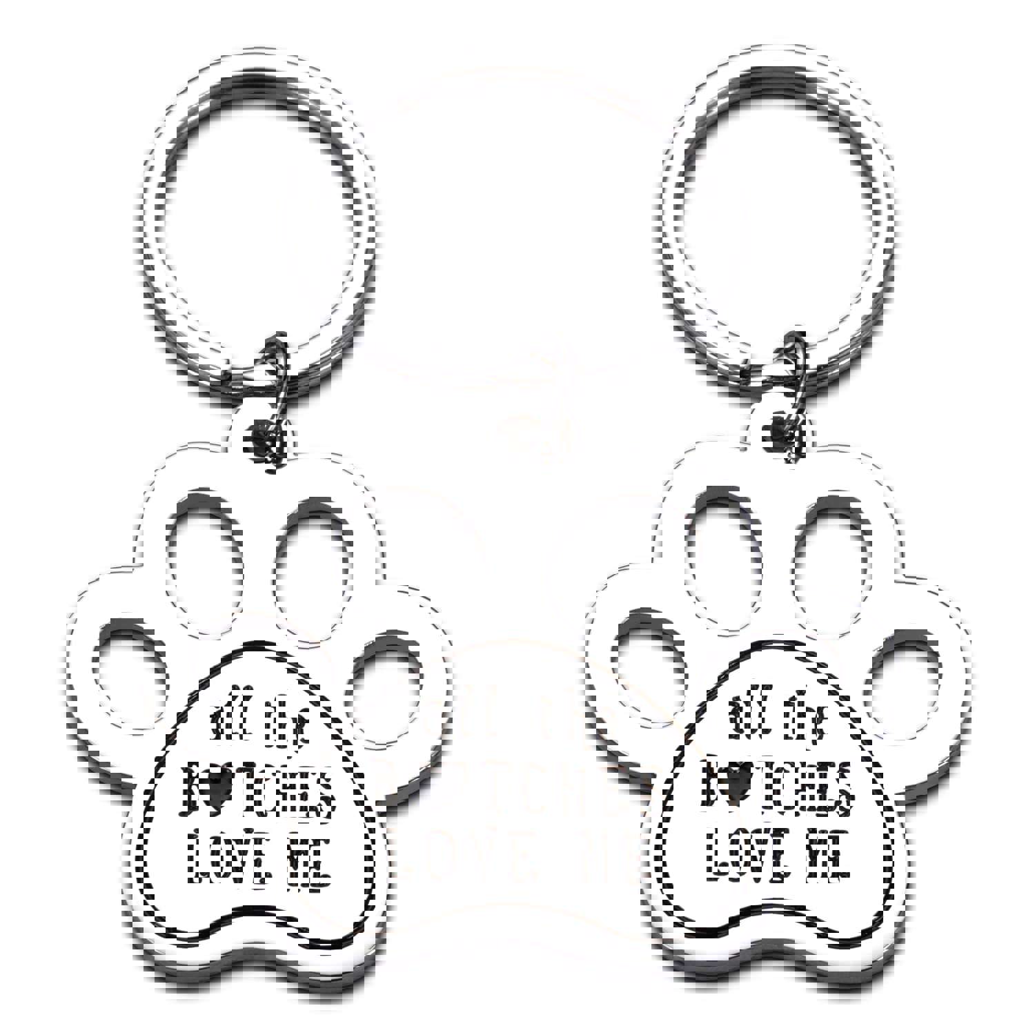 Funny Pet Tag Keychain for Dog & Cat Lovers - Personalized Stainless Steel ID Tag