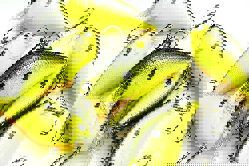 Lucky Craft 1.5 DD RT - High-Quality Plastic Square Bill Crank Bait