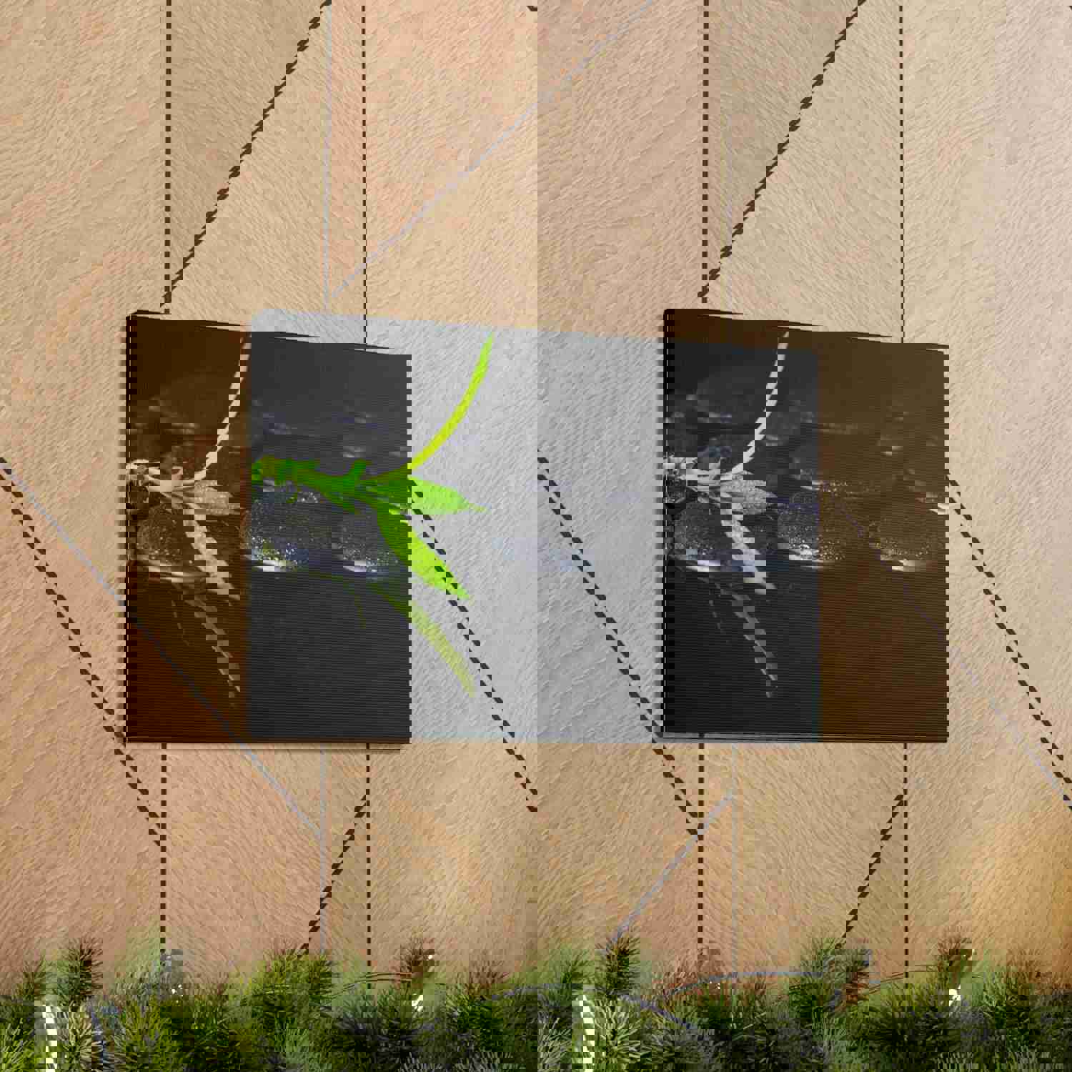 Green Bamboo on Stones Forest Floral Nature Photography Canvas Wall Art for Home Decor