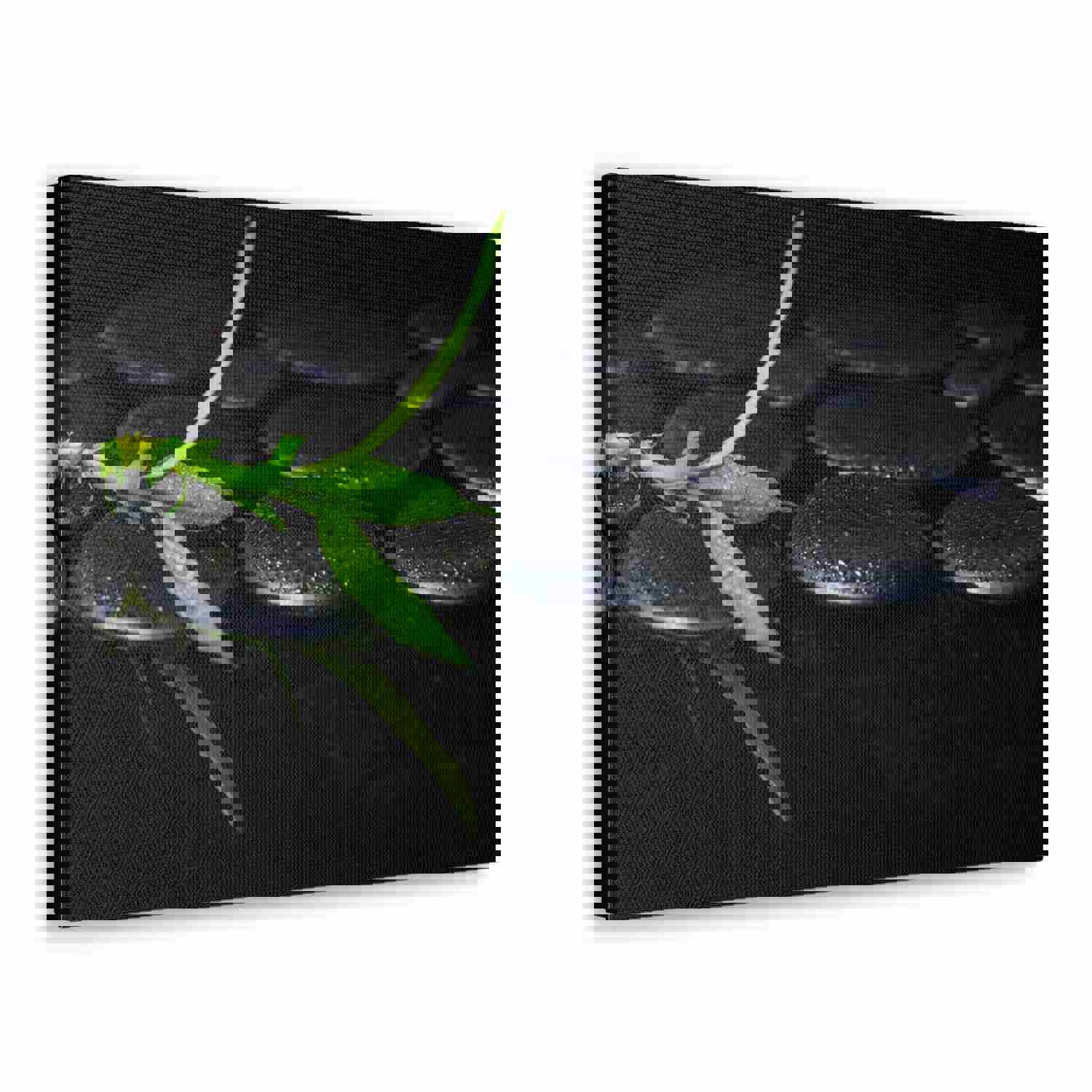 Green Bamboo on Stones Forest Floral Nature Photography Canvas Wall Art for Home Decor