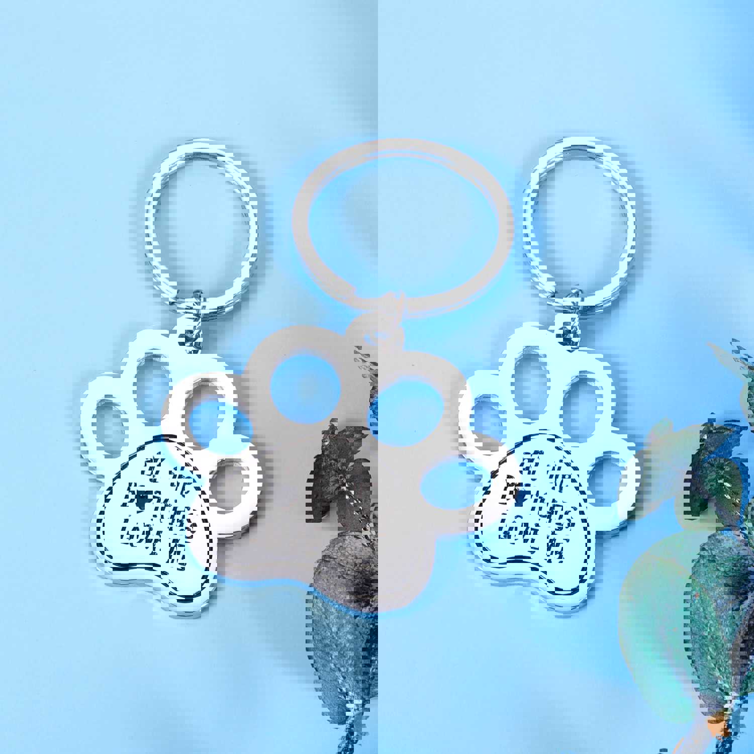 Funny Pet Tag Keychain for Dog & Cat Lovers - Personalized Stainless Steel ID Tag