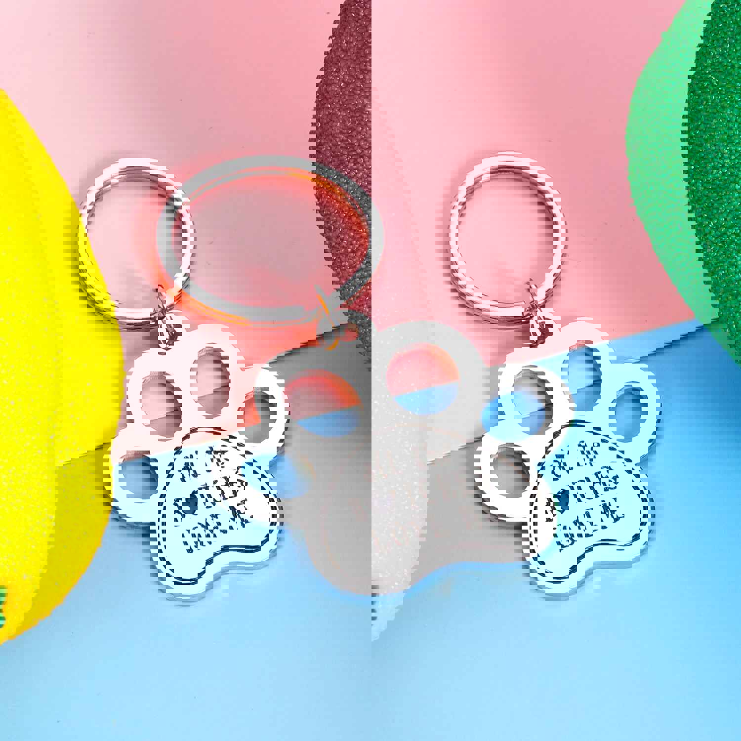Funny Pet Tag Keychain for Dog & Cat Lovers - Personalized Stainless Steel ID Tag