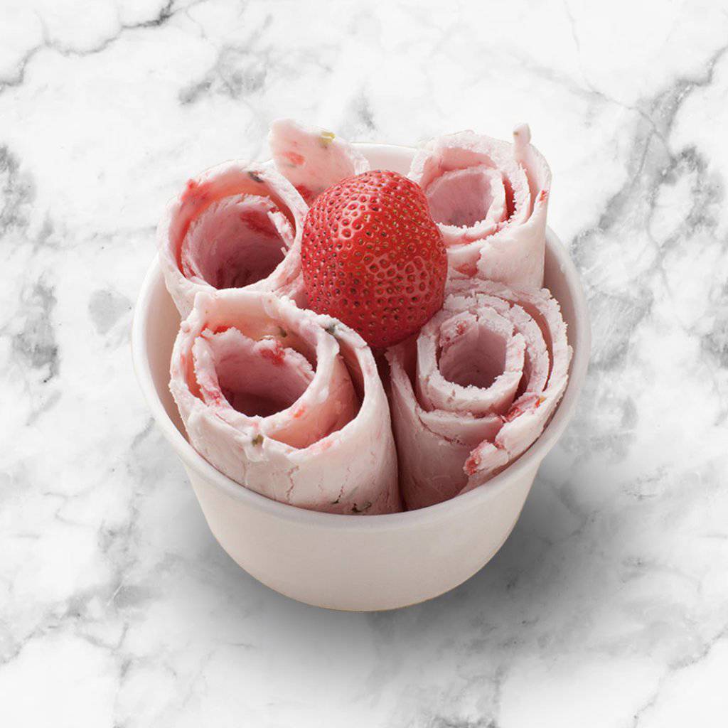 Whynter Portable Instant Automatic Compressor Ice Cream Maker Frozen Pan Roller in Stainless Steel ICR-300SS