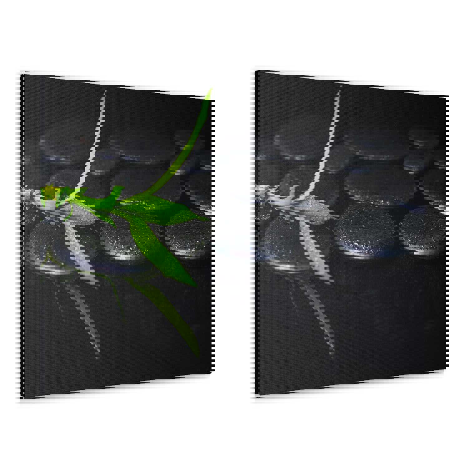 Green Bamboo on Stones Forest Floral Nature Photography Canvas Wall Art for Home Decor