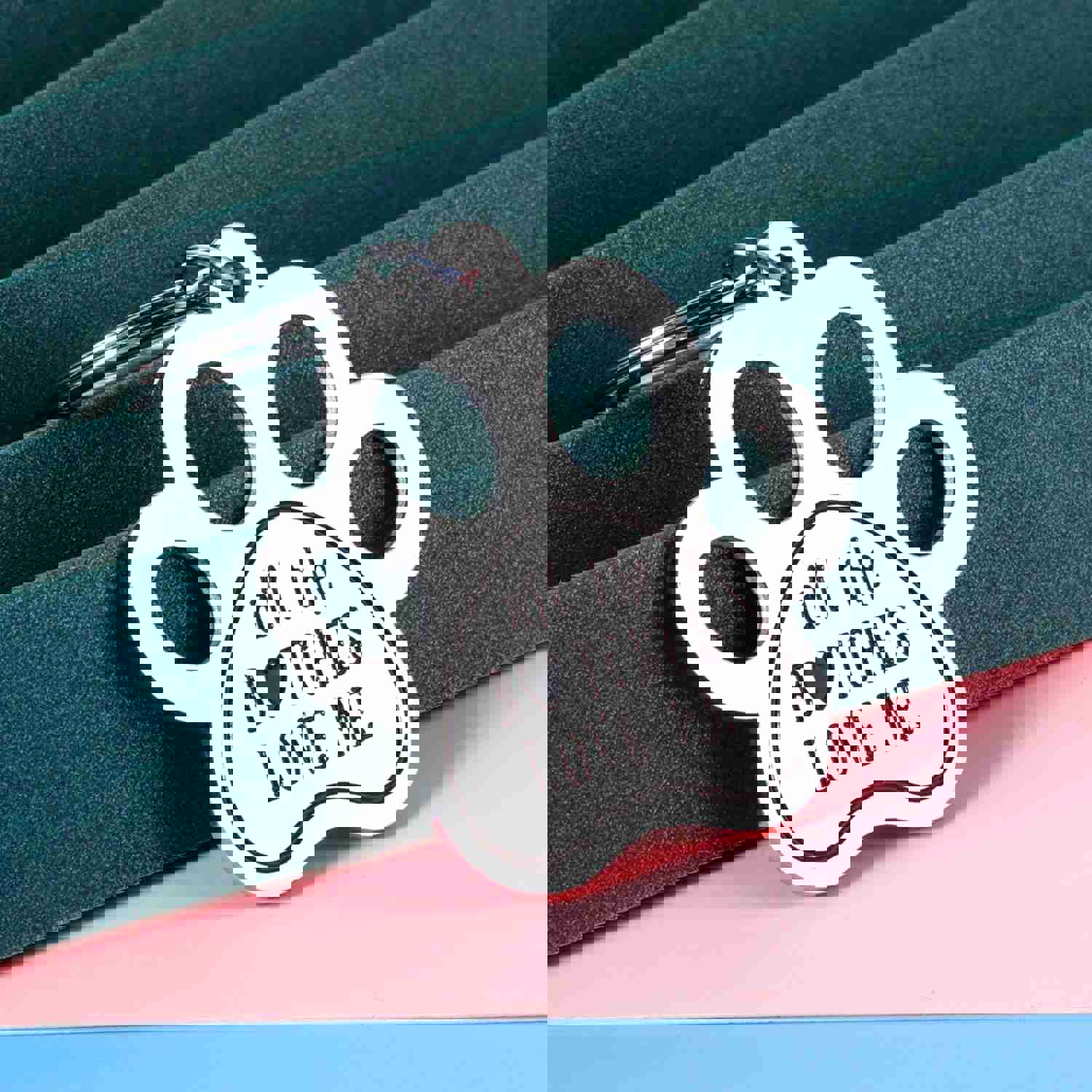 Funny Pet Tag Keychain for Dog & Cat Lovers - Personalized Stainless Steel ID Tag