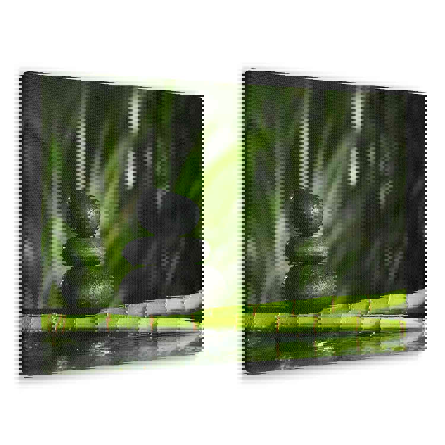 Stacked Stones on Bamboo Forest Floral Nature Photography Canvas Wall Art