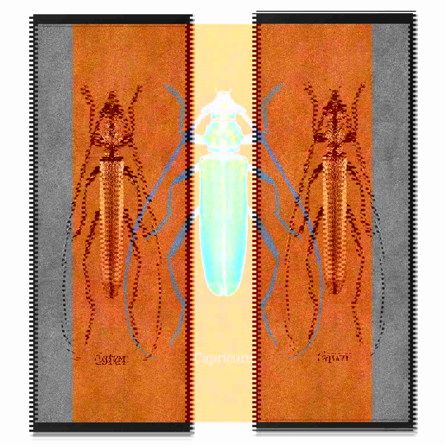 Capricorn Orange Canvas Print - Stylish Wall Art for Home and Office Decor