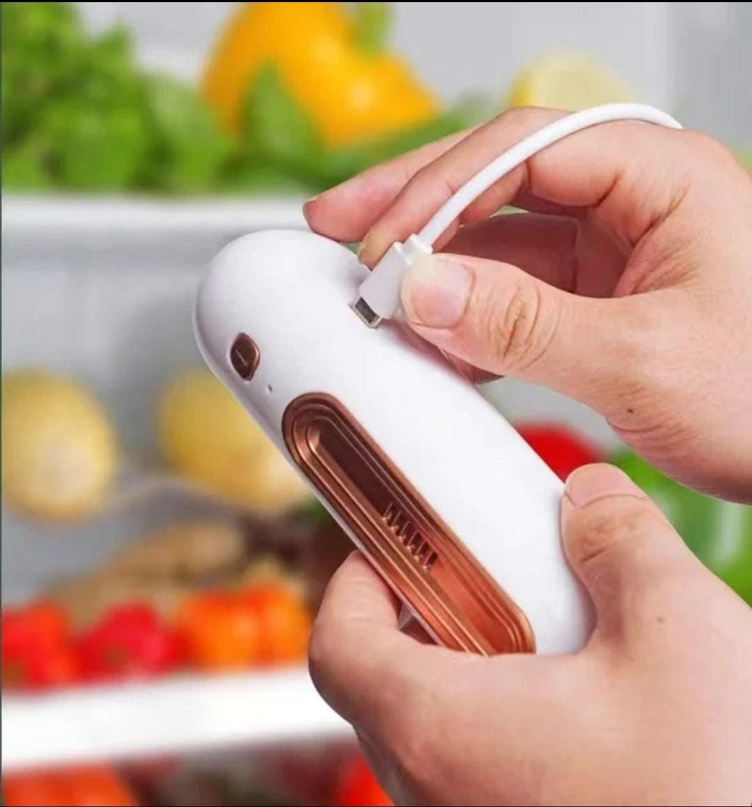 Stylish Ozone Refrigerator Air Purifier - Portable USB Rechargeable Odor Eliminator