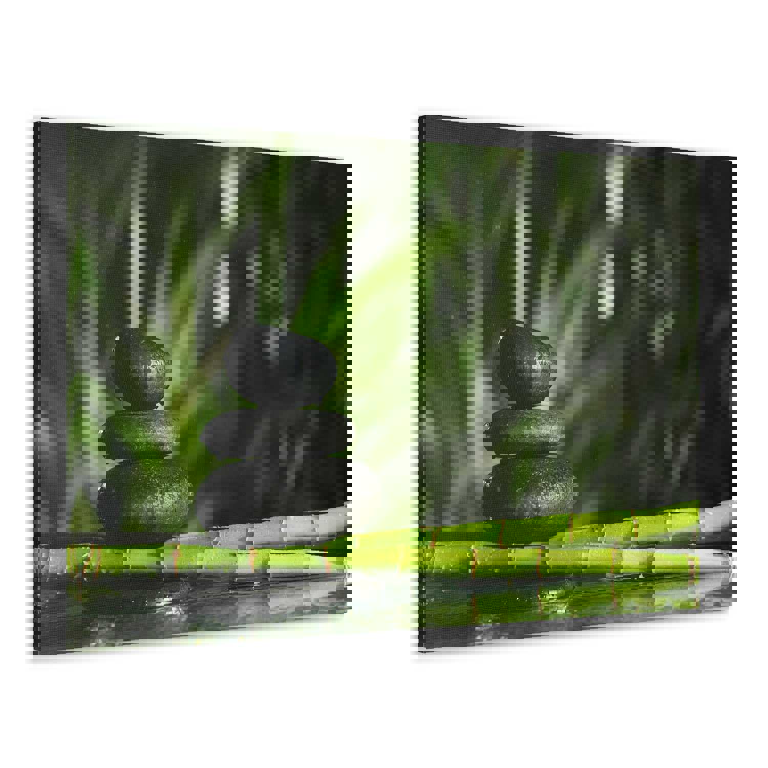 Stacked Stones on Bamboo Forest Floral Nature Photography Canvas Wall Art