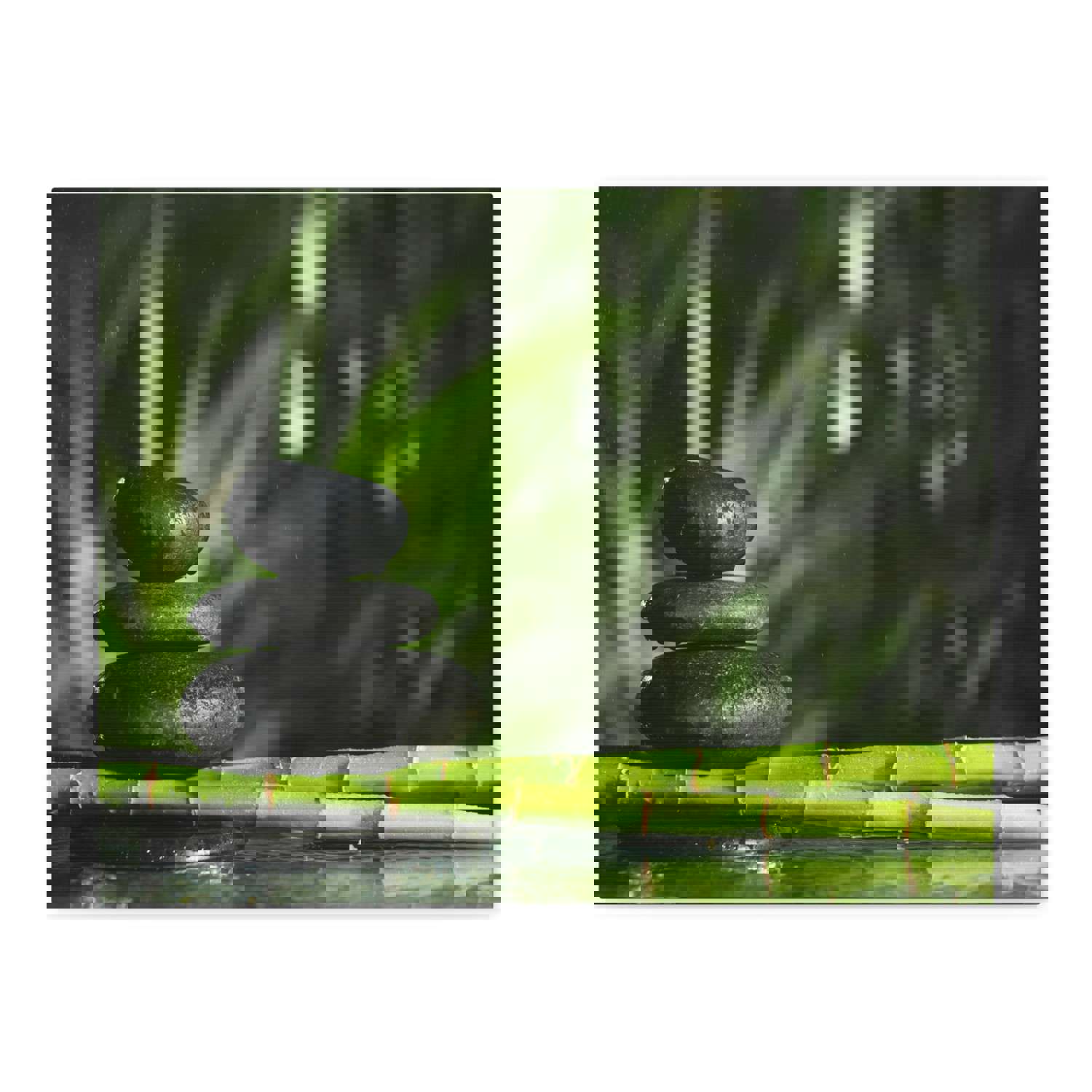 Stacked Stones on Bamboo Forest Floral Nature Photography Canvas Wall Art