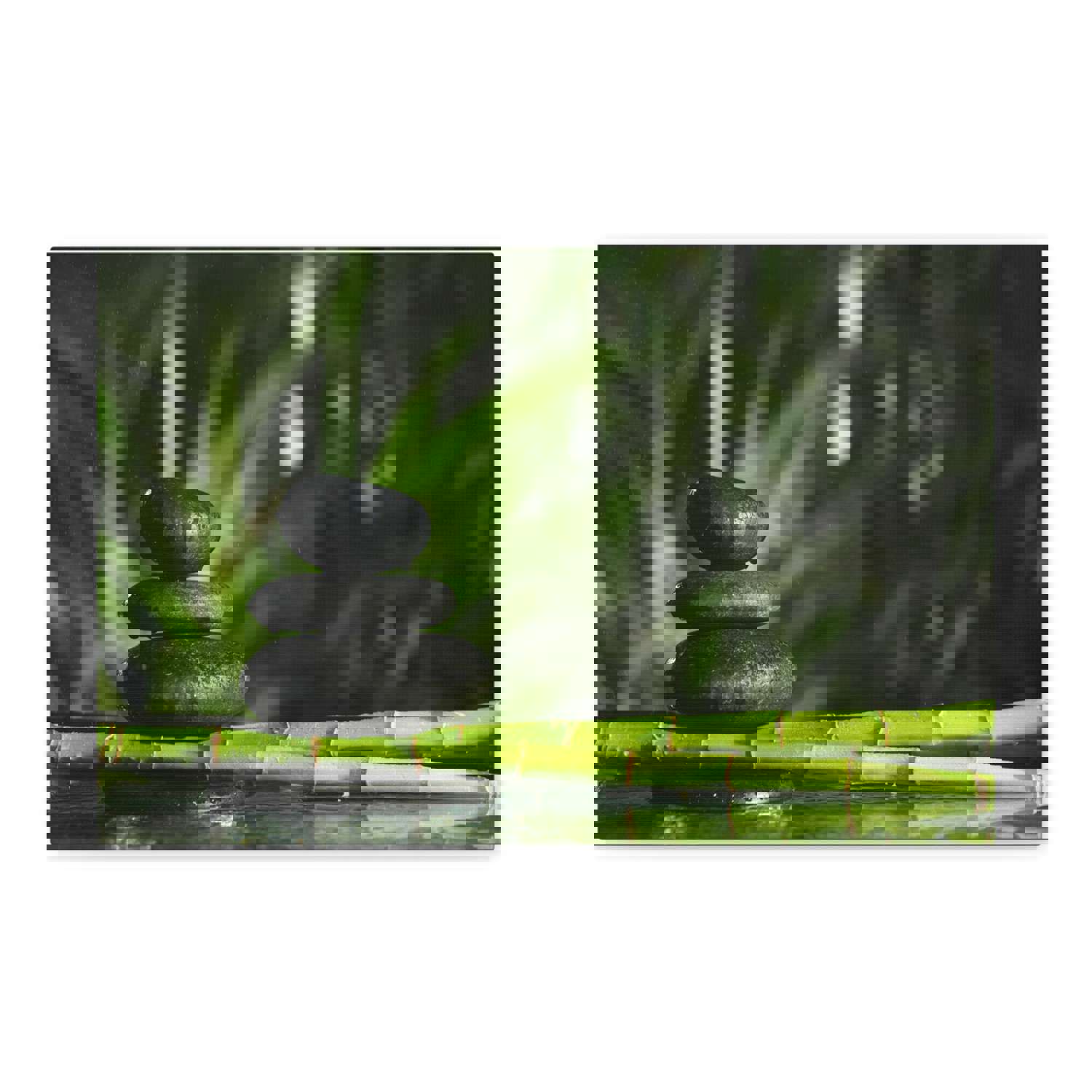 Stacked Stones on Bamboo Forest Floral Nature Photography Canvas Wall Art