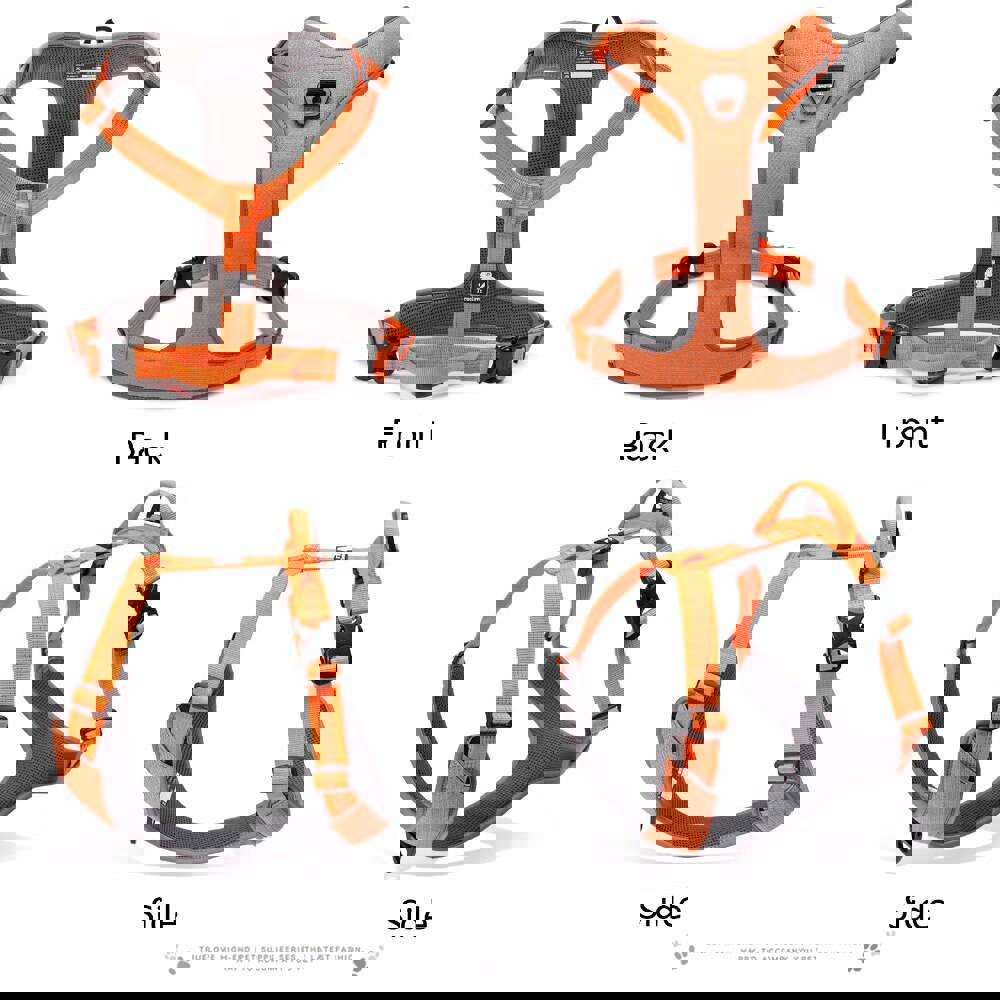 Reflective Adjustable Dog Harness with Handle for Safe Walks and Car Travel