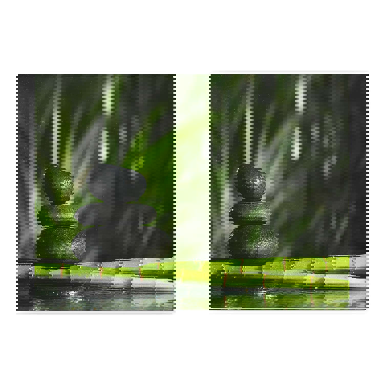 Stacked Stones on Bamboo Forest Floral Nature Photography Canvas Wall Art