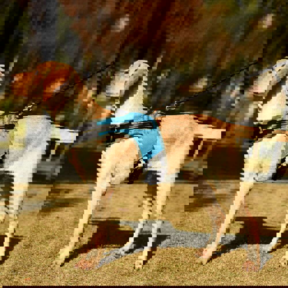 Reflective Dog Safety Harness Vest for Medium to Large Breeds - Husky, Shepherd, Labrador