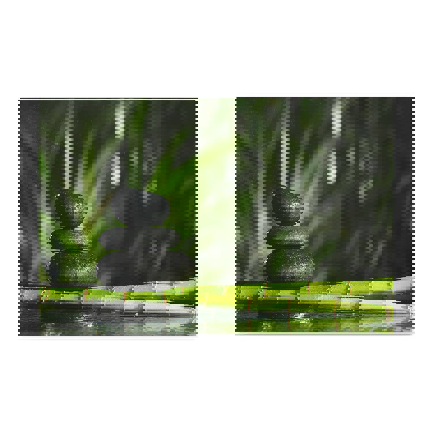 Stacked Stones on Bamboo Forest Floral Nature Photography Canvas Wall Art