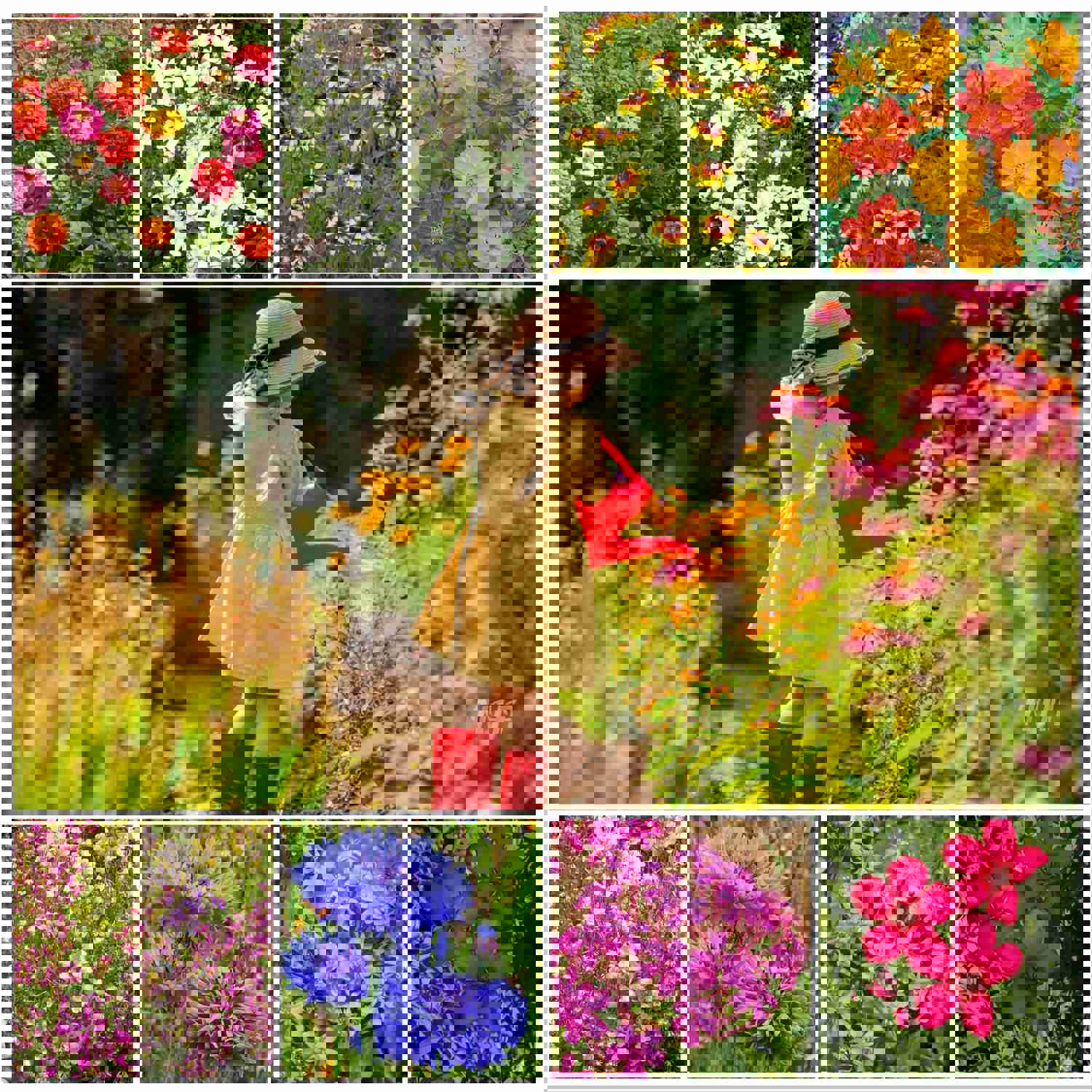 2000+ Children's Flower Seed Mix for Little Gardeners