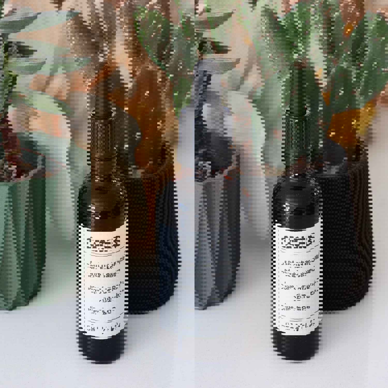 Urban Gardener Plant Food - Cacti and Succulents