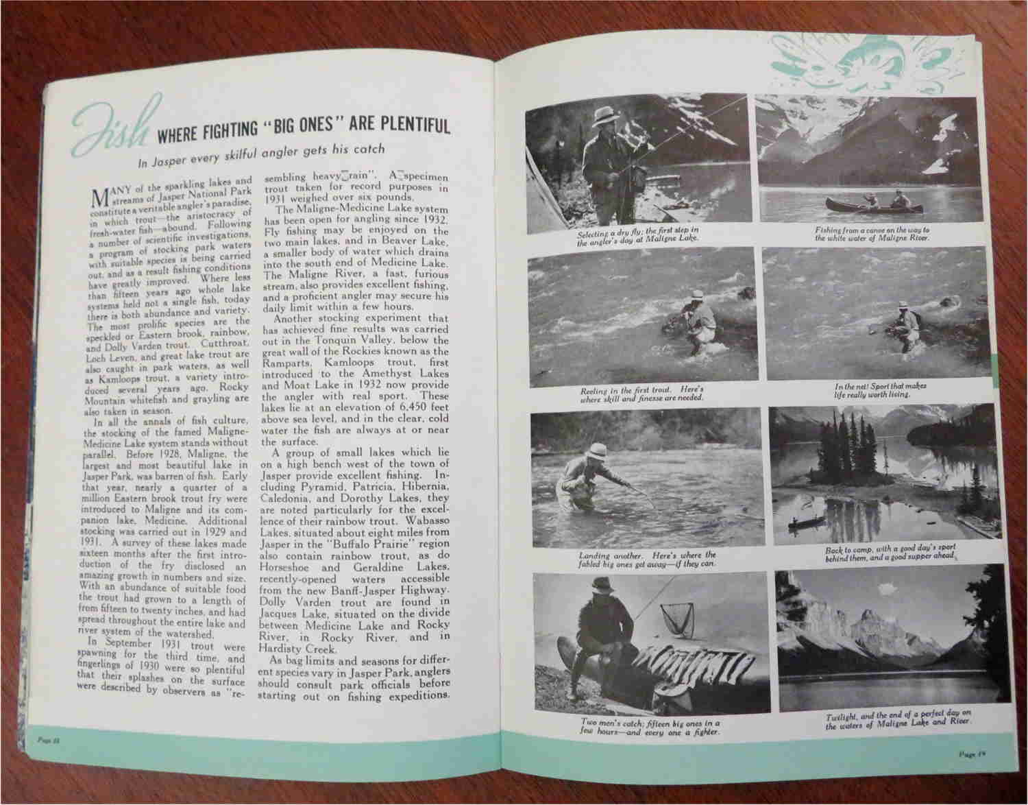 Vintage 1940 Canadian Rockies Jasper National Park Illustrated Tourist Book