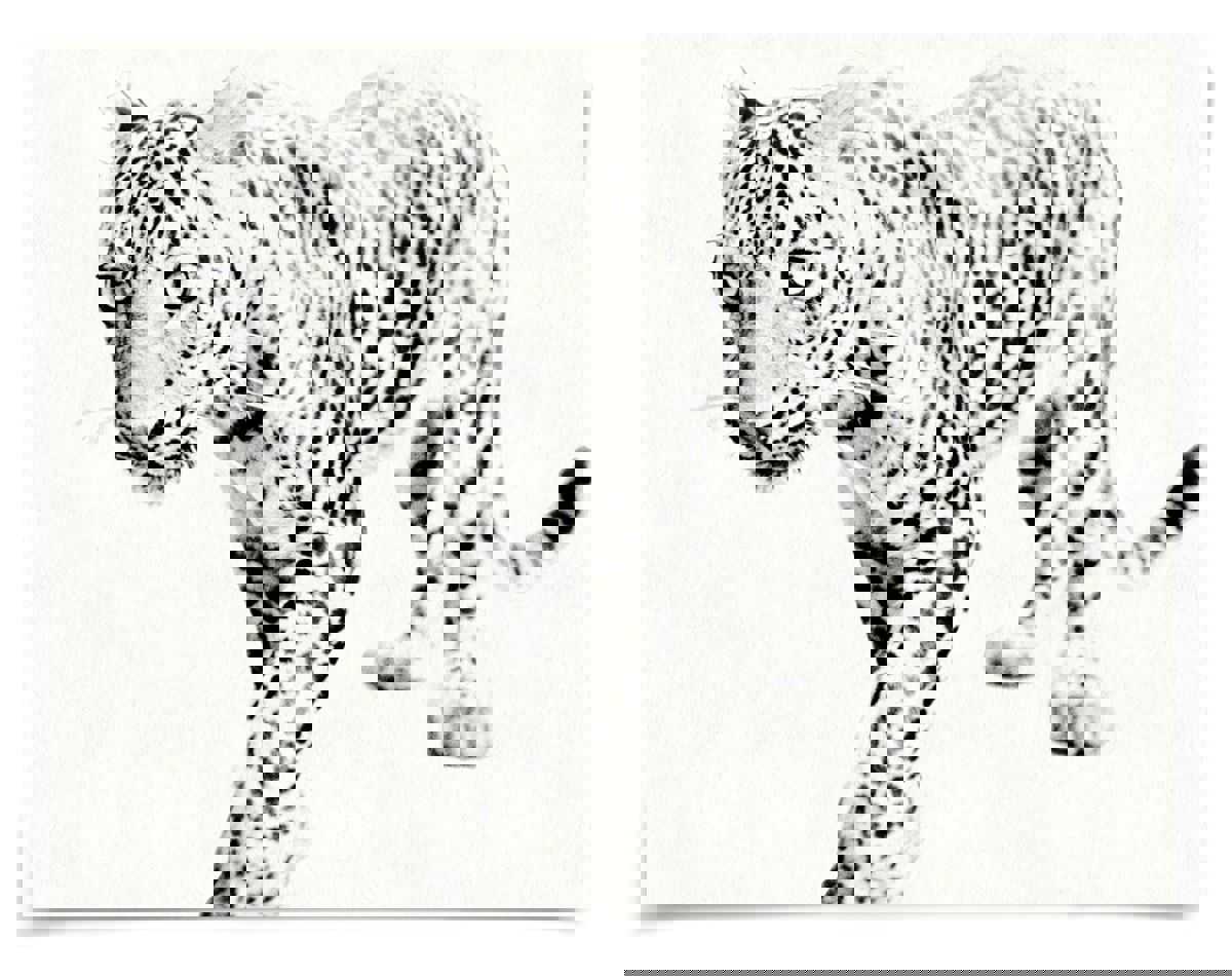 Natural Curiosities Tylinek Leopard Art Print