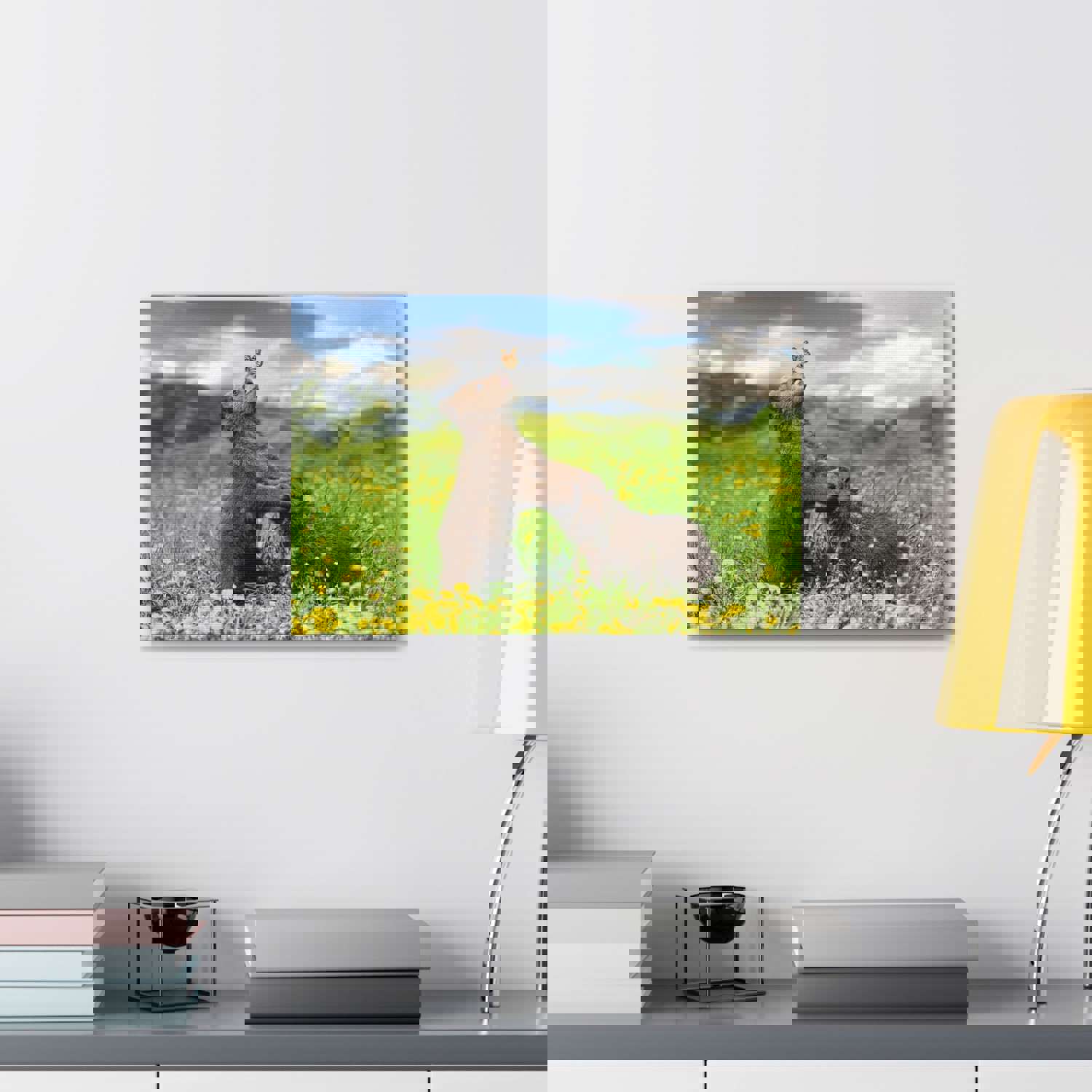 Black Bears in The Spring Nature Wilderness Photography Canvas Wall Art