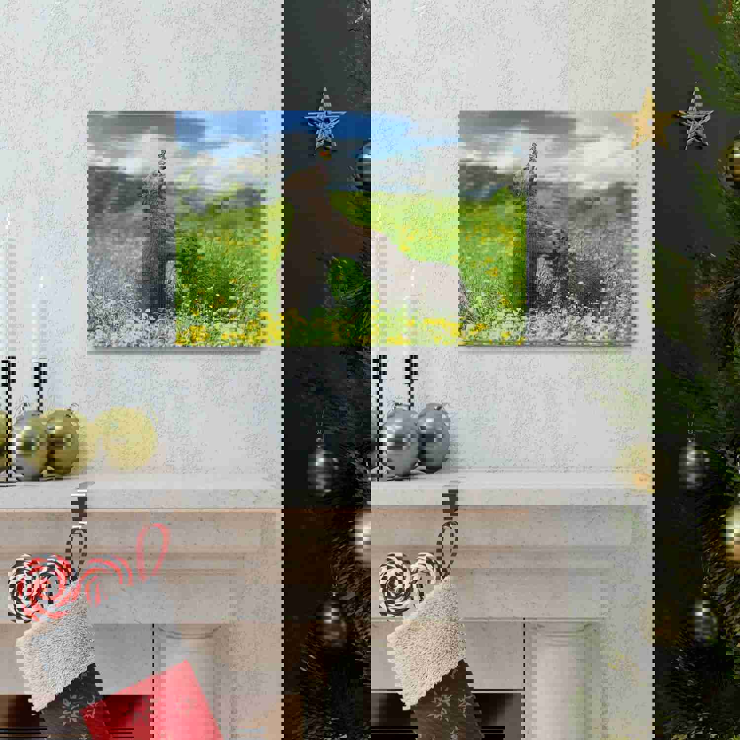 Black Bears in The Spring Nature Wilderness Photography Canvas Wall Art