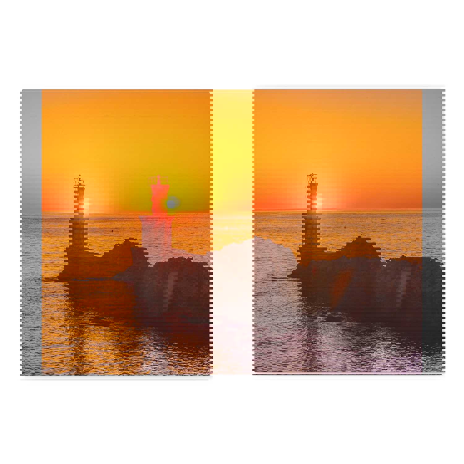 Premium Sunset Forest Floral Nature Photography Canvas Wall Art for Home Decor