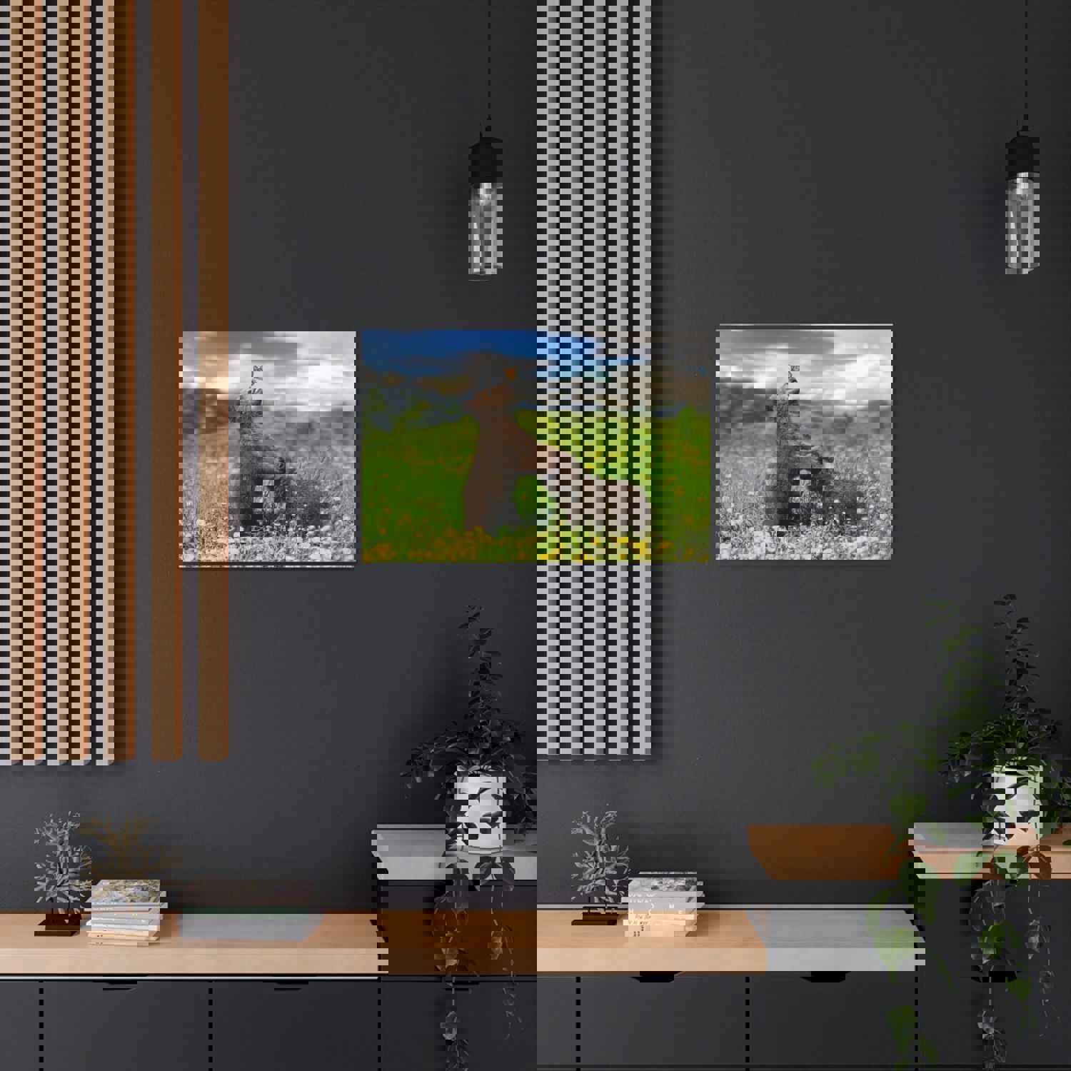 Black Bears in The Spring Nature Wilderness Photography Canvas Wall Art