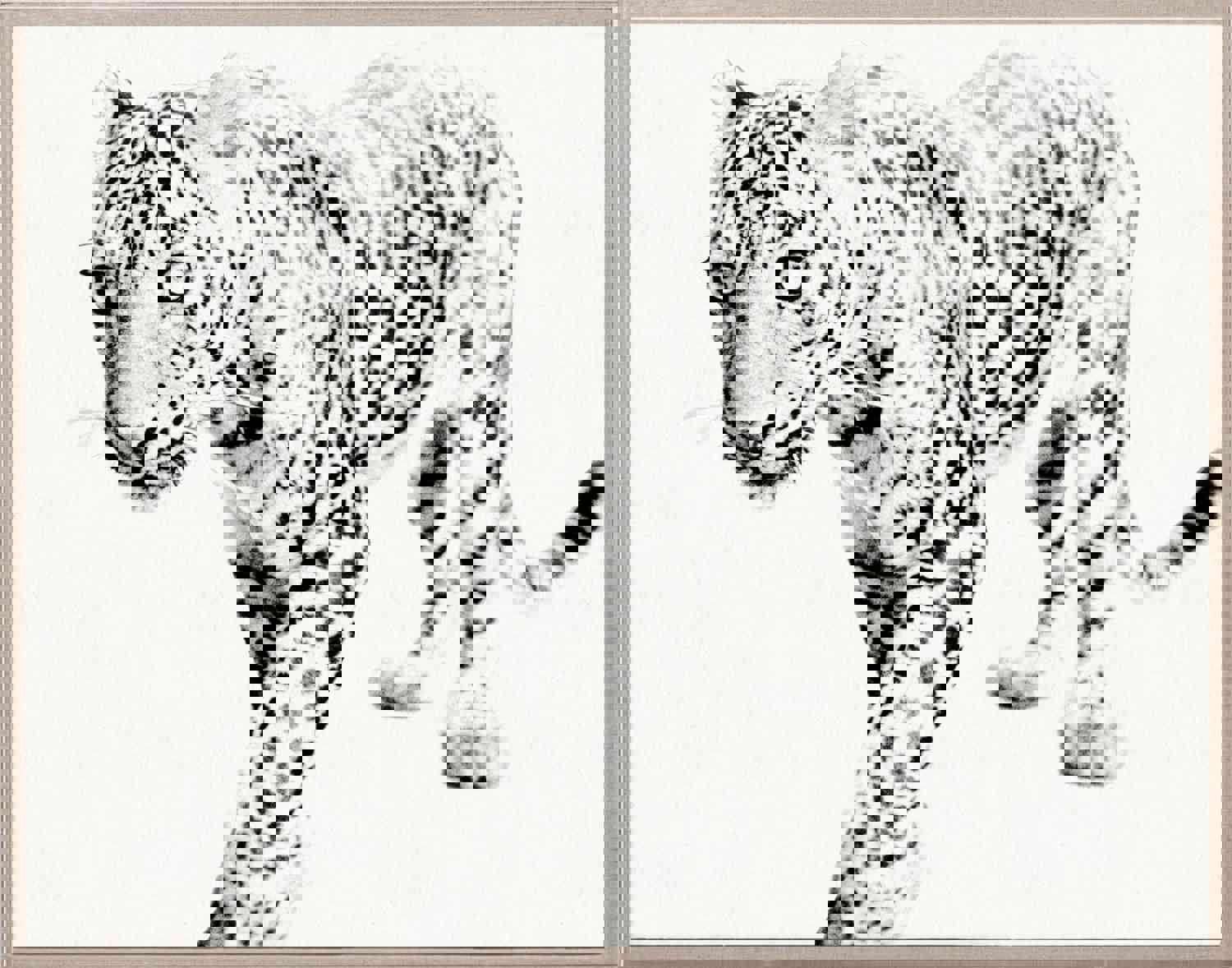 Natural Curiosities Tylinek Leopard Art Print