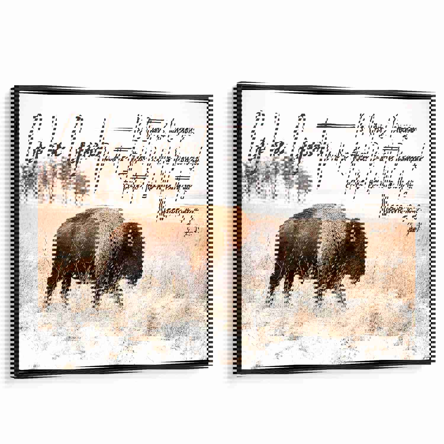 Go Be Great Bison Nursery Wall Decor - Custom Bible Verse Canvas Print