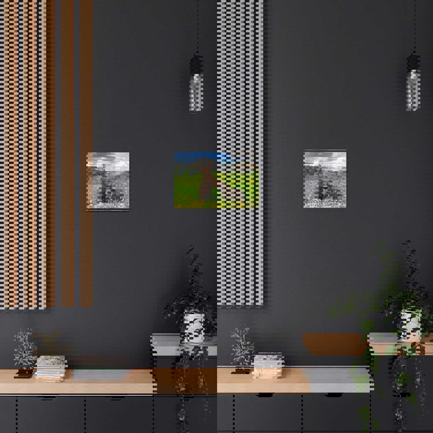 Black Bears in The Spring Nature Wilderness Photography Canvas Wall Art