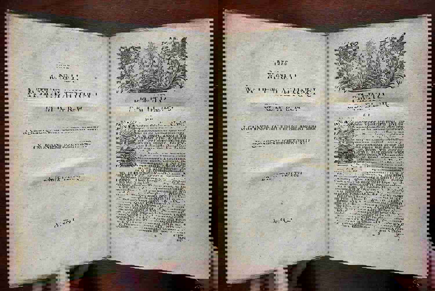 Gospel of Matthew New Testament Biblical Commentary 1749 by Christopher Bode