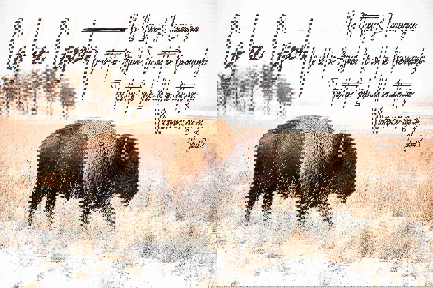 Go Be Great Bison Nursery Wall Decor - Custom Bible Verse Canvas Print