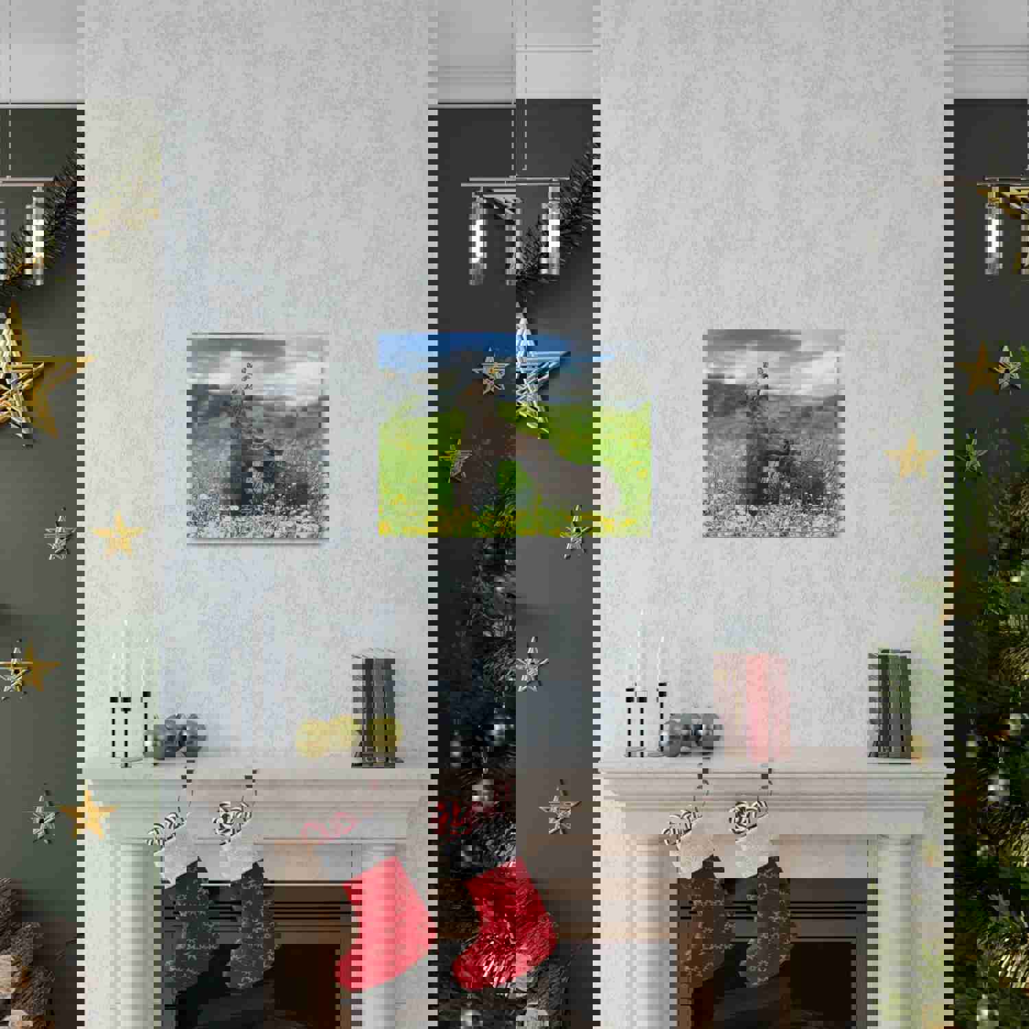 Black Bears in The Spring Nature Wilderness Photography Canvas Wall Art