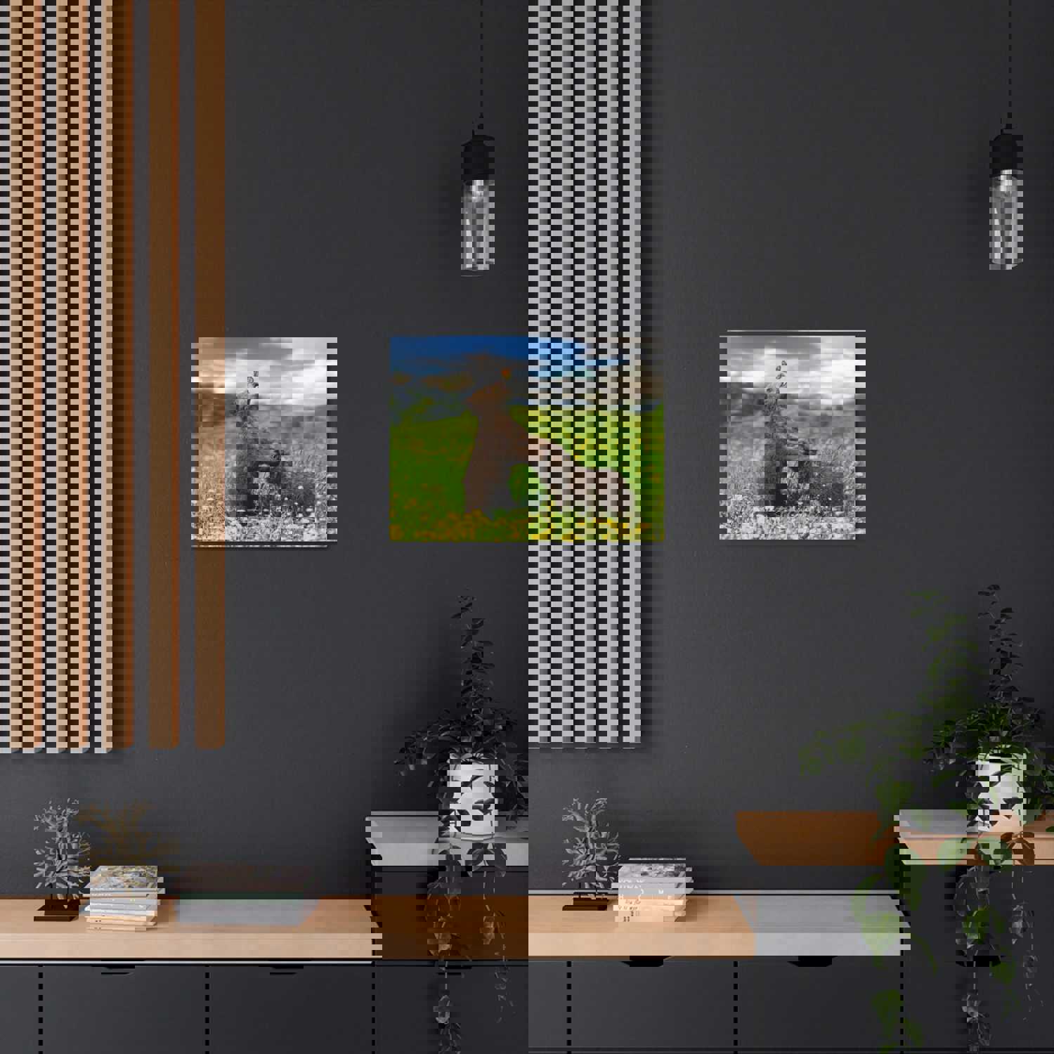 Black Bears in The Spring Nature Wilderness Photography Canvas Wall Art