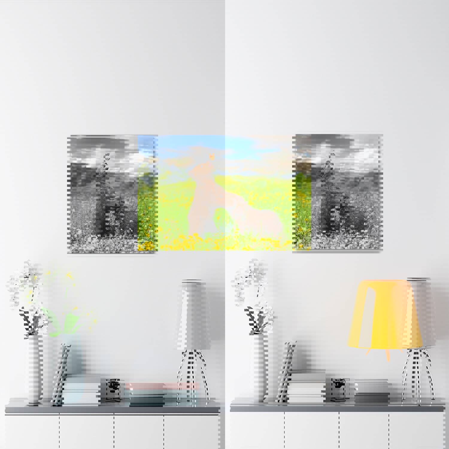 Black Bears in The Spring Nature Wilderness Photography Canvas Wall Art