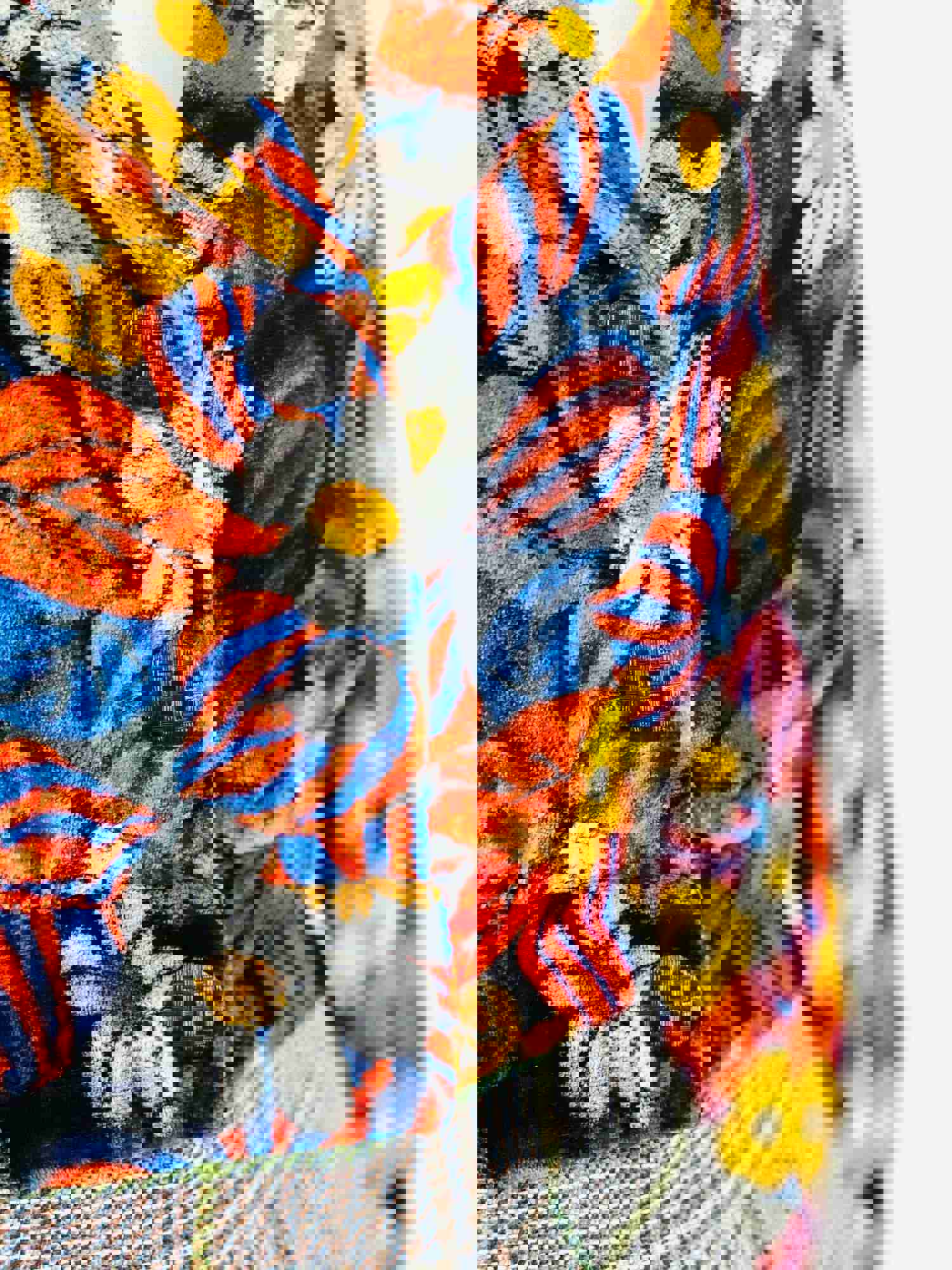 Vintage 1970s Floral Velvet Cropped Jacket