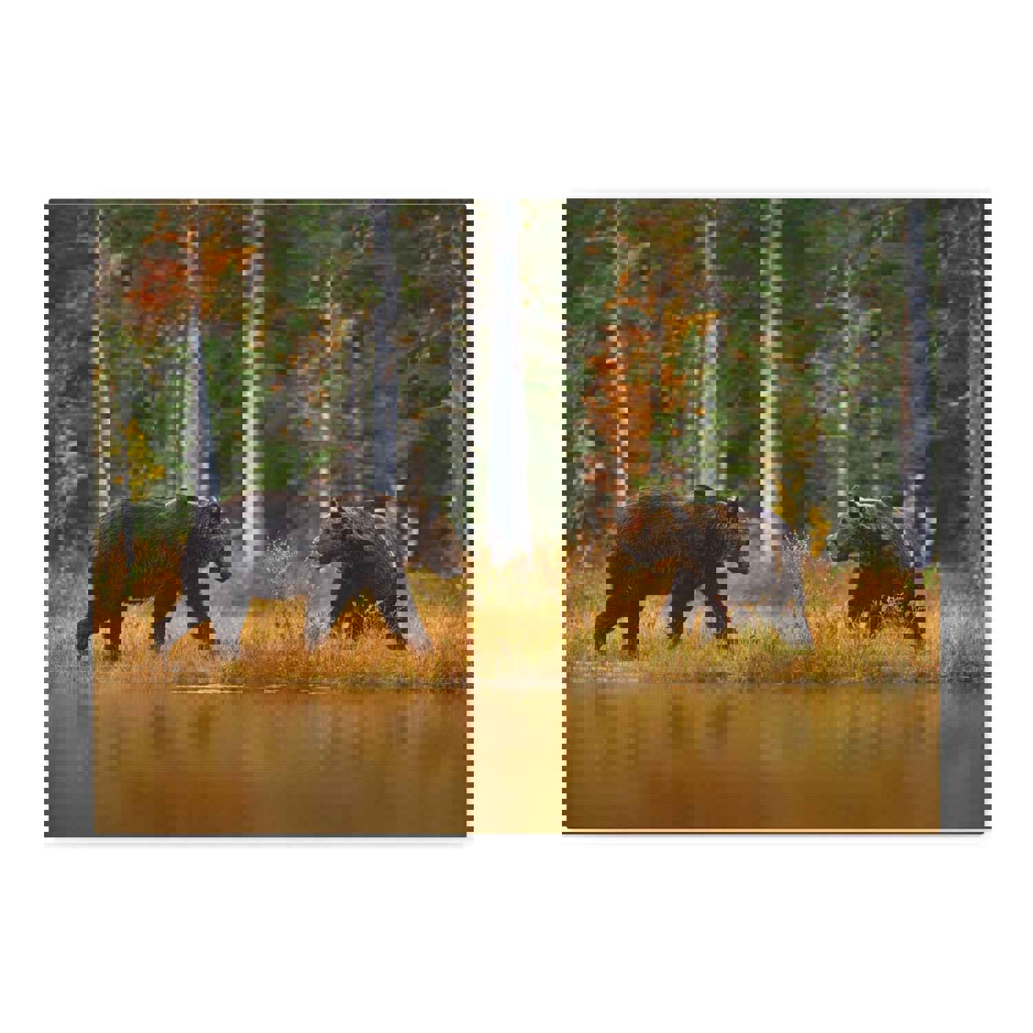 Spring Forest Bears Nature Wilderness Photography Canvas Wall Art for Home Decor