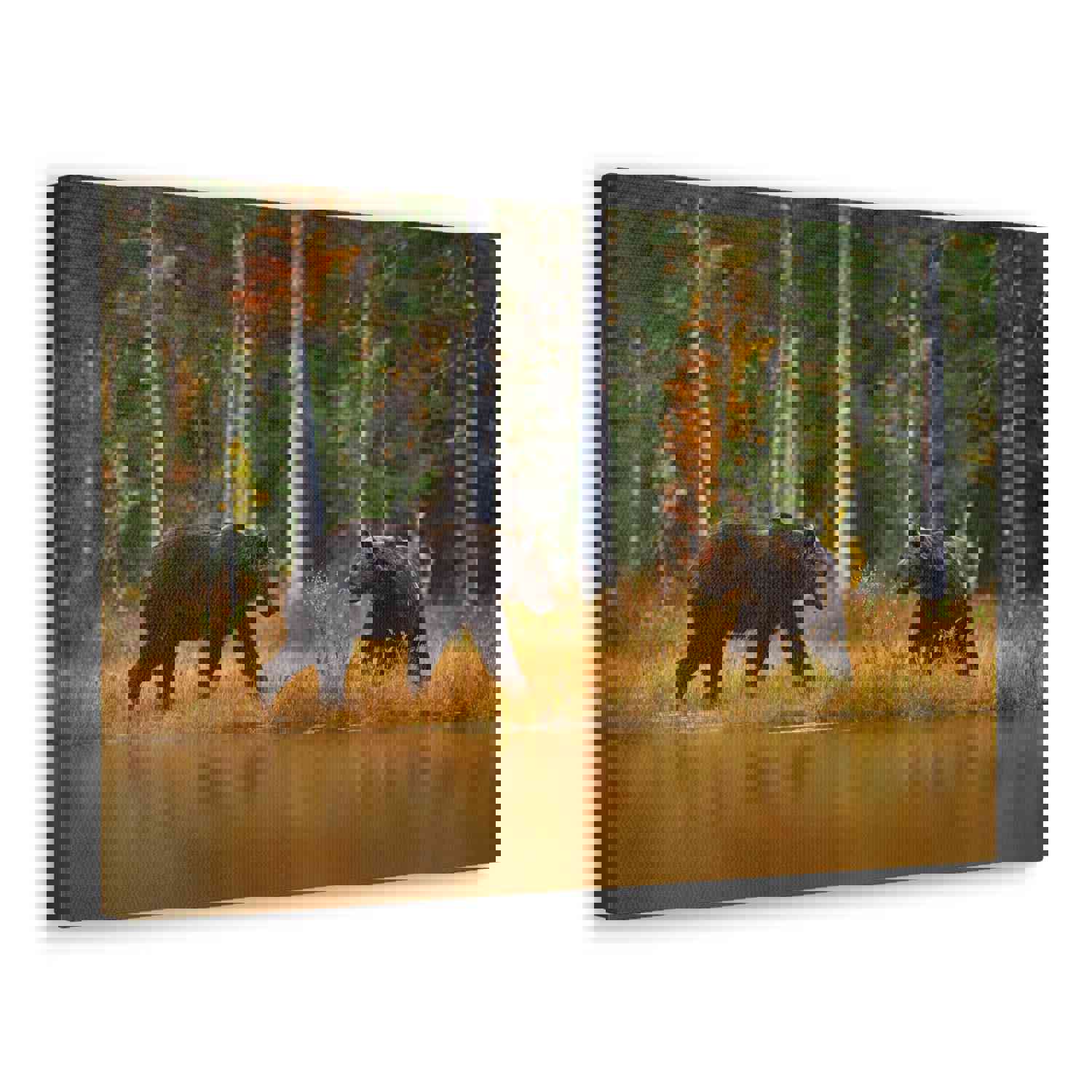 Spring Forest Bears Nature Wilderness Photography Canvas Wall Art for Home Decor