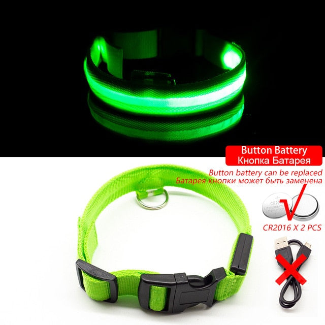 USB Charging LED Dog Collar - Anti-Lost & Safety Collar for Small/Medium/Large Dogs
