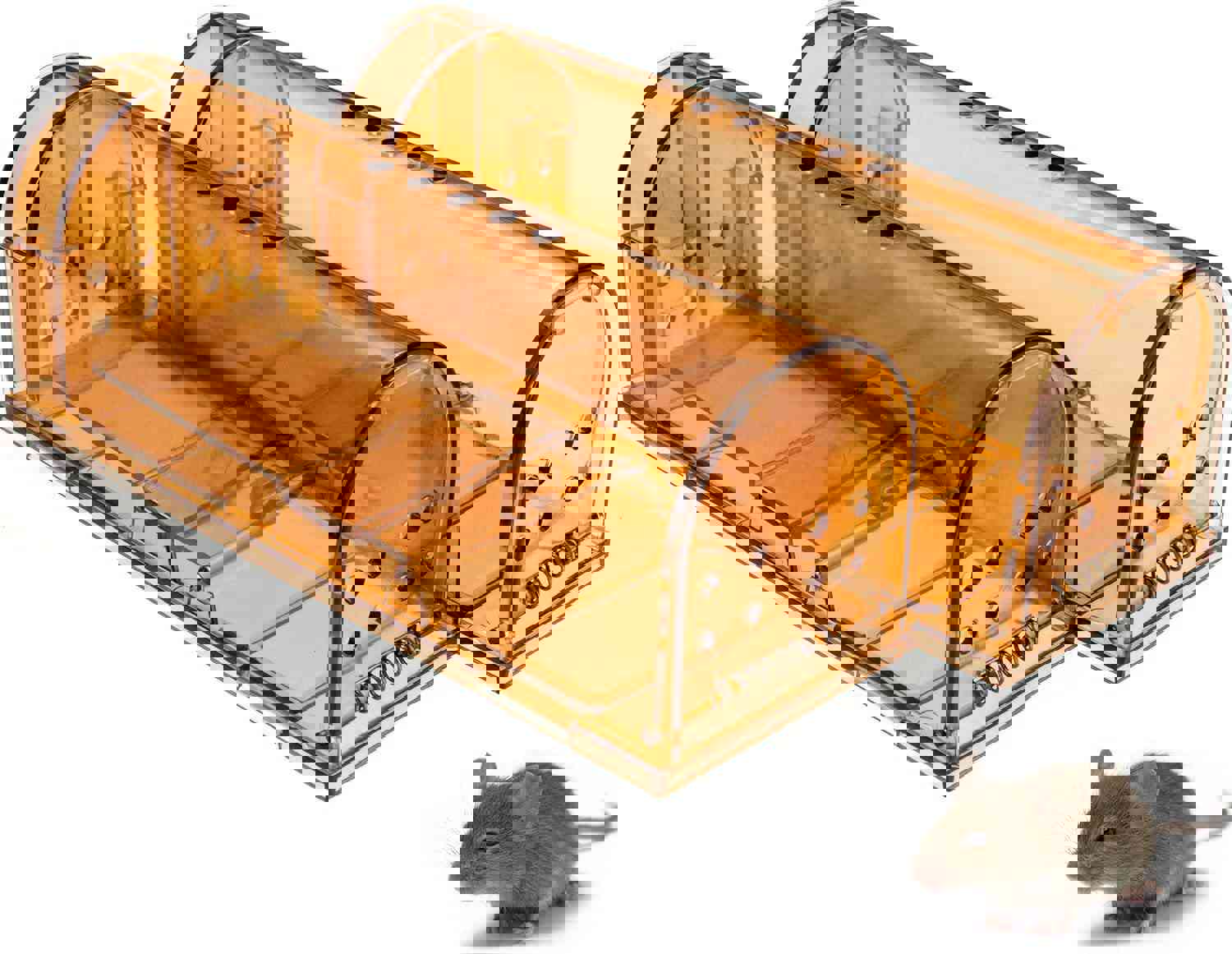 GEROSSI Humane Mouse Traps - Safe, Reusable, and Effective for Indoor/Outdoor Use (2 Pack, Small)