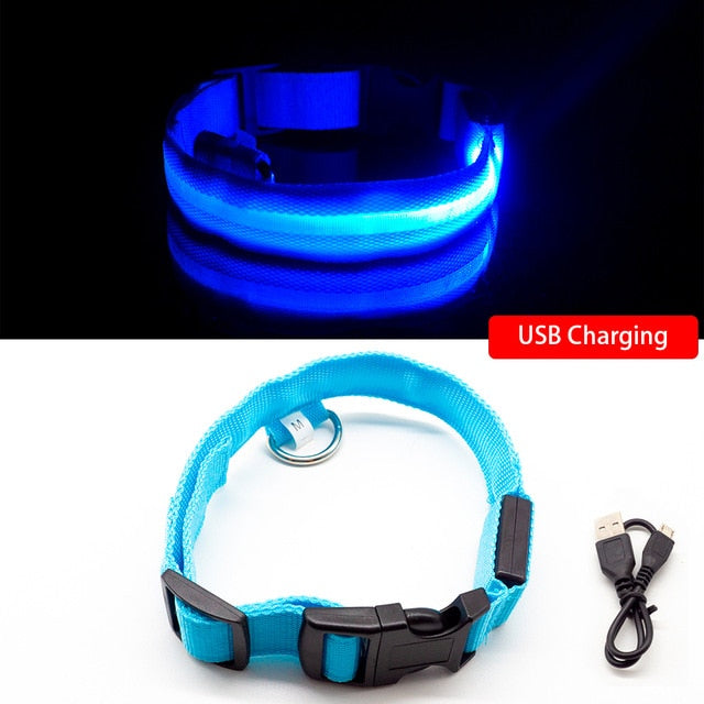 USB Charging LED Dog Collar - Anti-Lost & Safety Collar for Small/Medium/Large Dogs