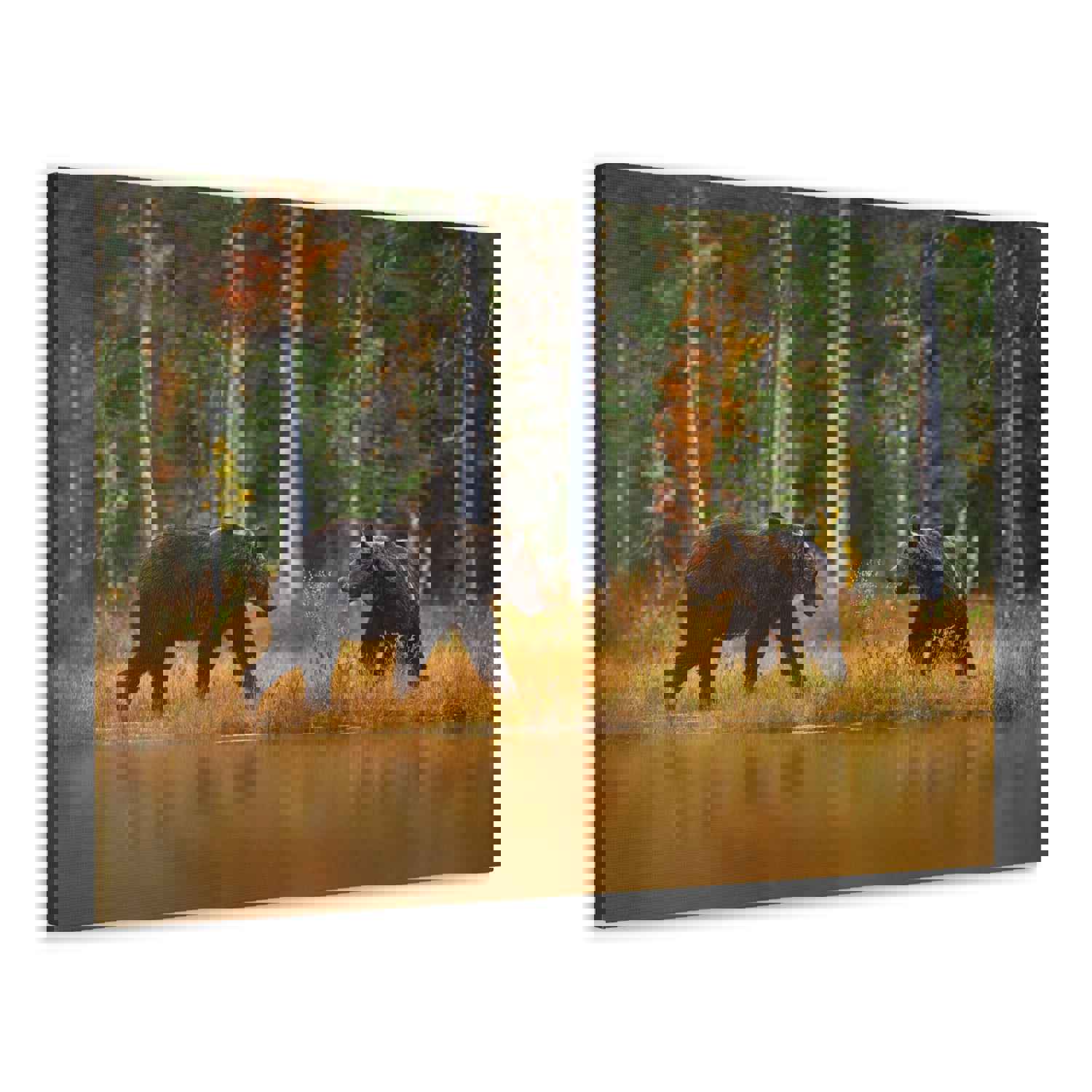 Spring Forest Bears Nature Wilderness Photography Canvas Wall Art for Home Decor