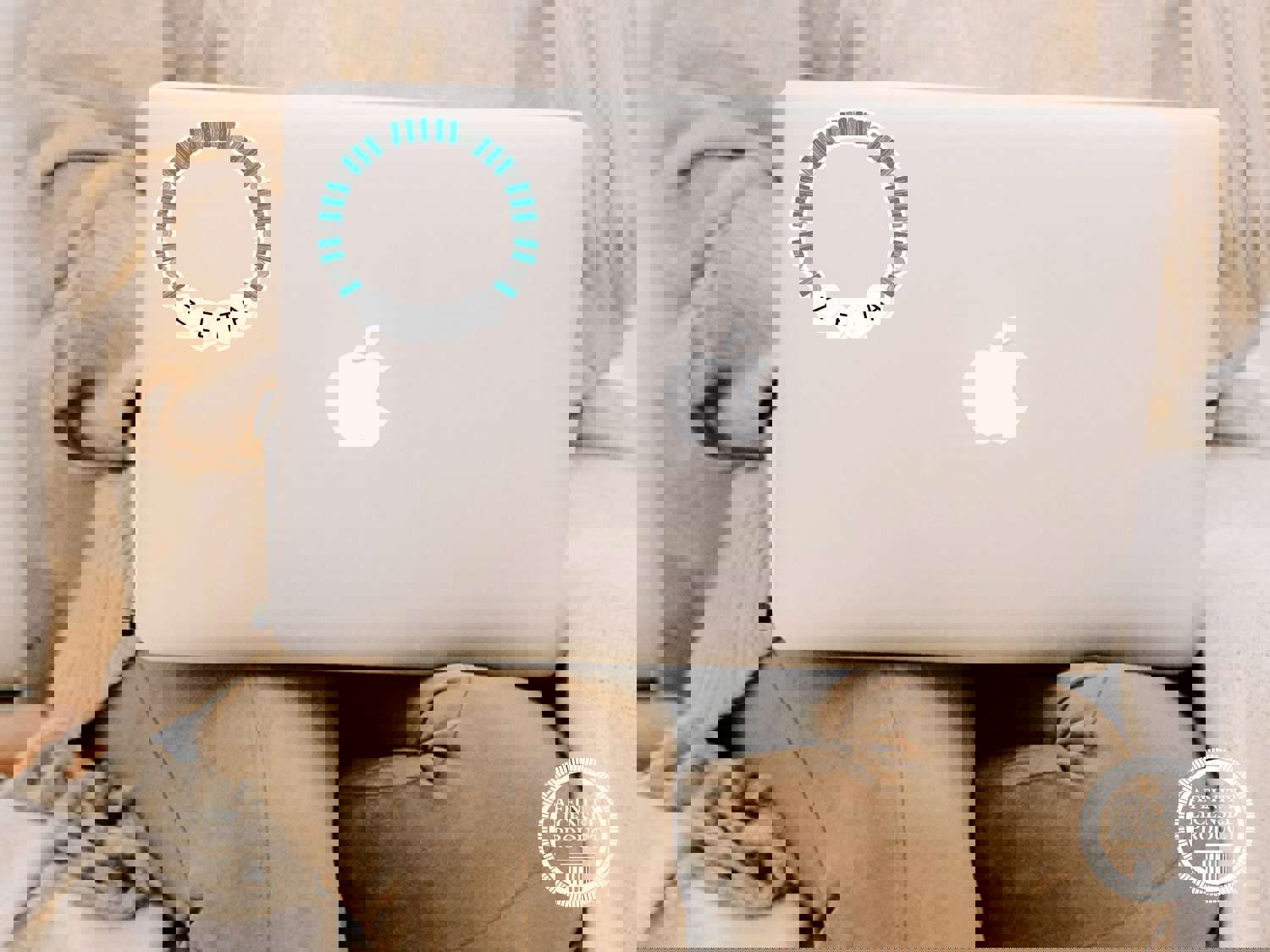 Zeta Tau Alpha Vinyl Sticker - Sorority Pride Decal