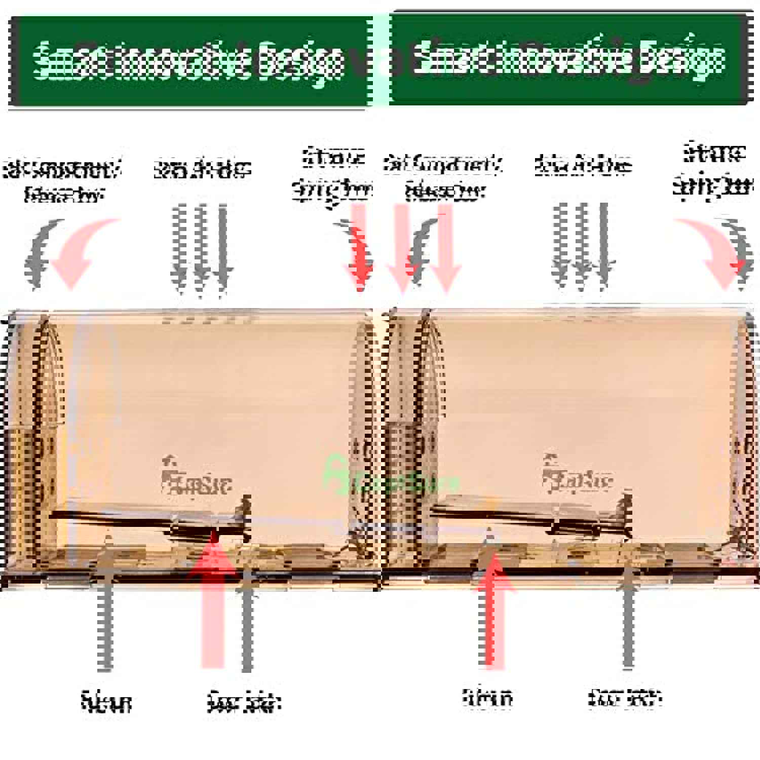 GEROSSI Humane Mouse Traps - Safe, Reusable, and Effective for Indoor/Outdoor Use (2 Pack, Small)
